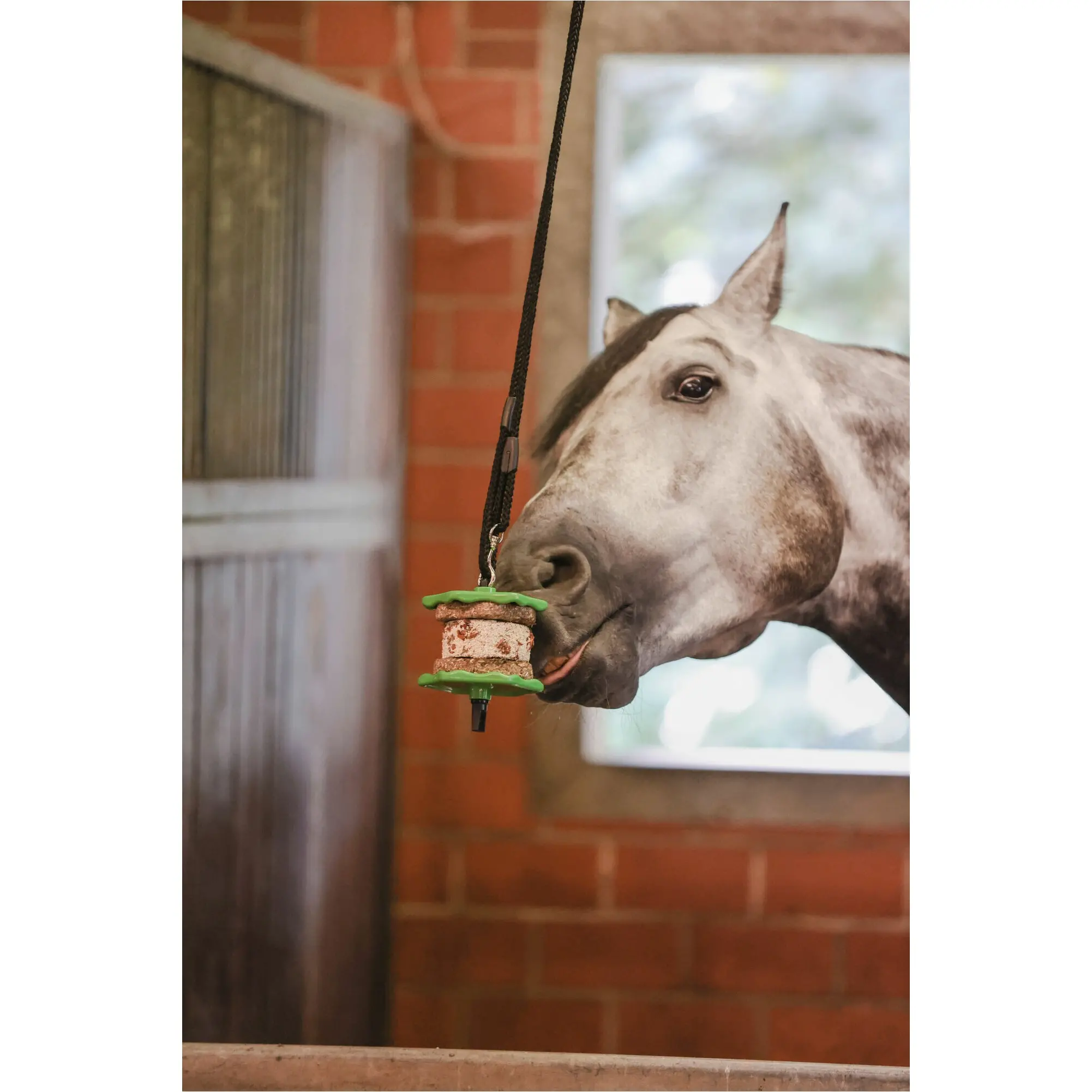 Delizia Sandwich Apfel 195g