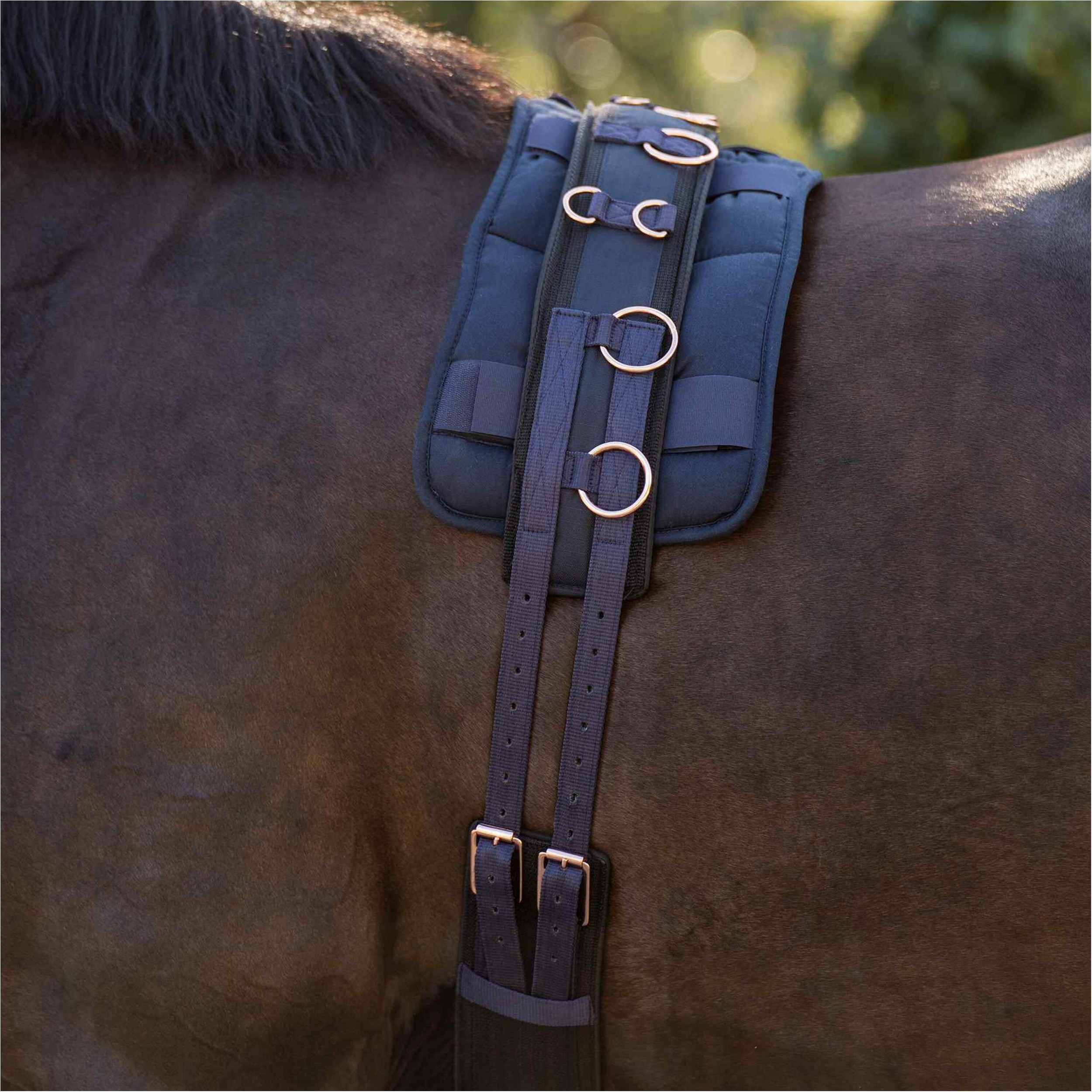 Longiergurt Nylon IRHDeluxe Extra navy/rosegold