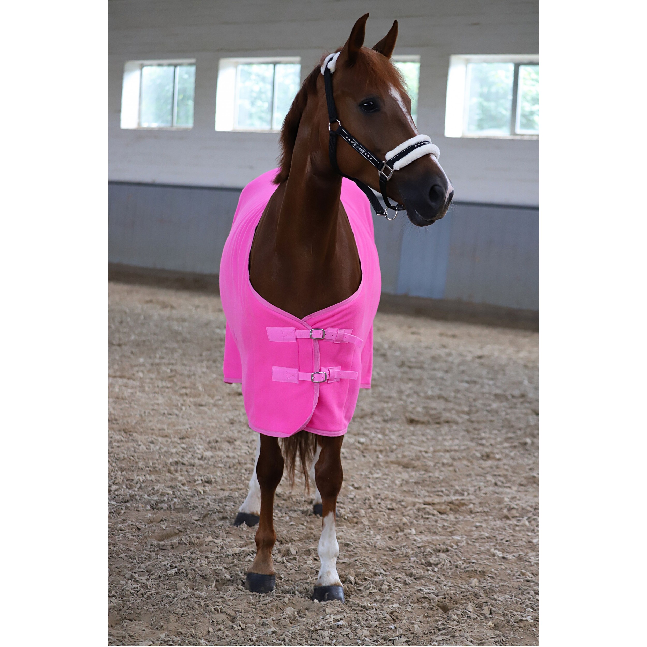 Abschwitzdecke mit Kreuzgurt BASICLINE neon pink