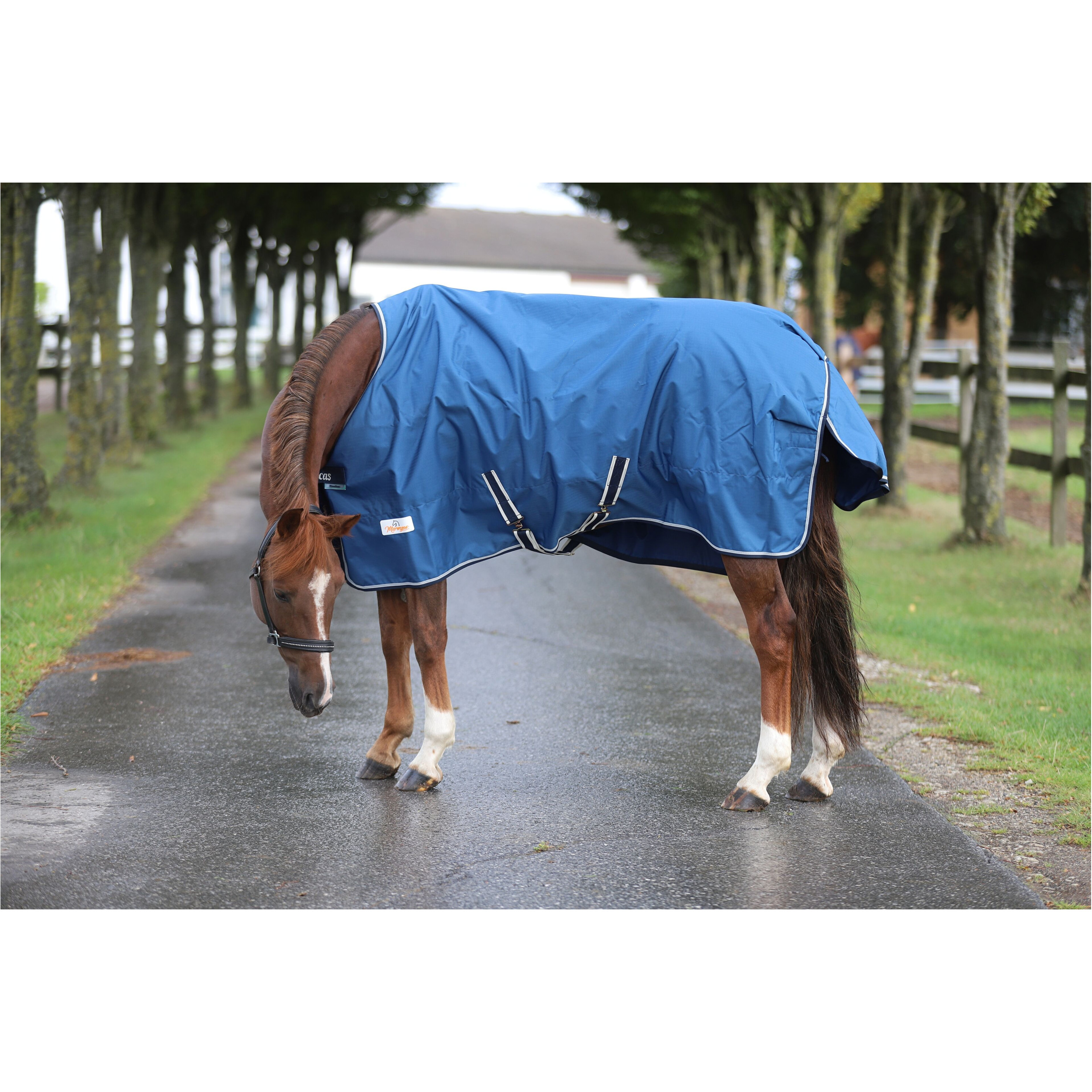 Winterdecke 150g Füllung 600D FREEDOM TURNOUT blau/navy