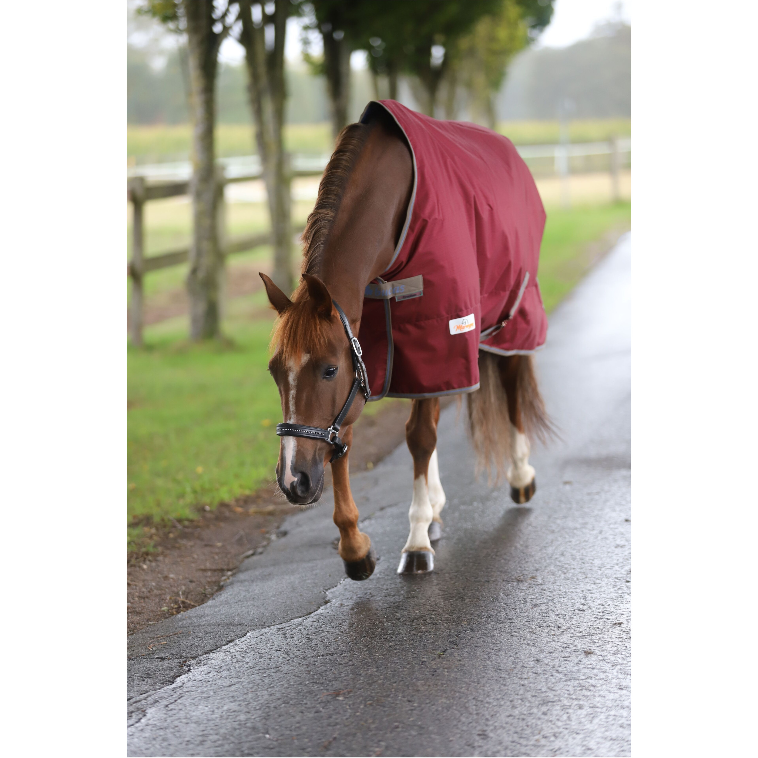 Weidedecke 600D FREEDOM TURNOUT weinrot/beige