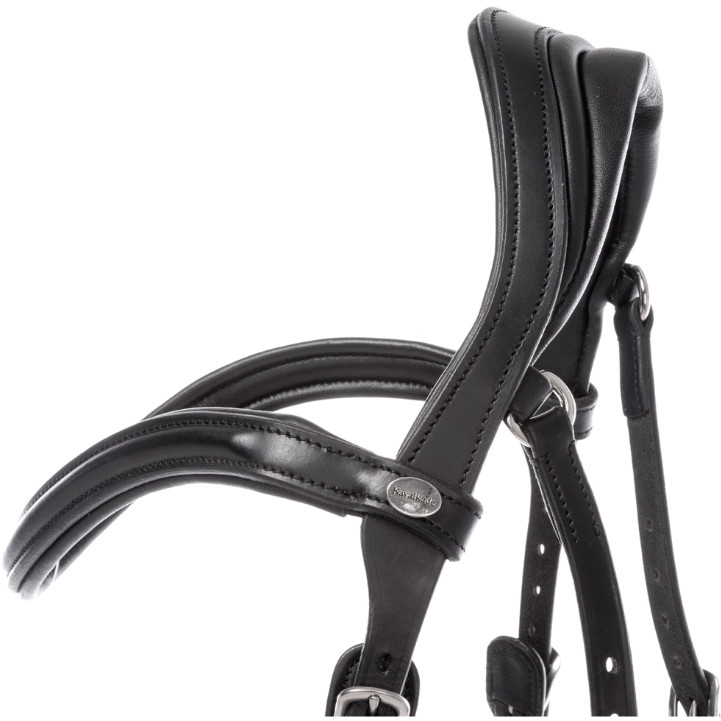 Trensenzaum englisch kombiniert CAJUS schwarz