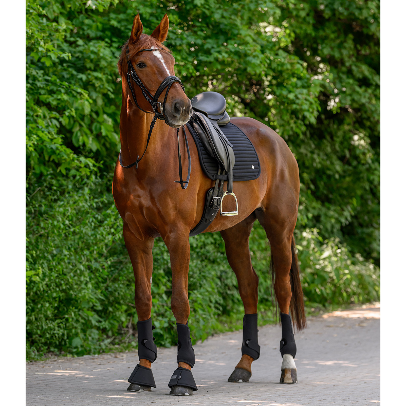 Schabracke TRINIDAD schwarz Schabracke TRINIDAD schwarz