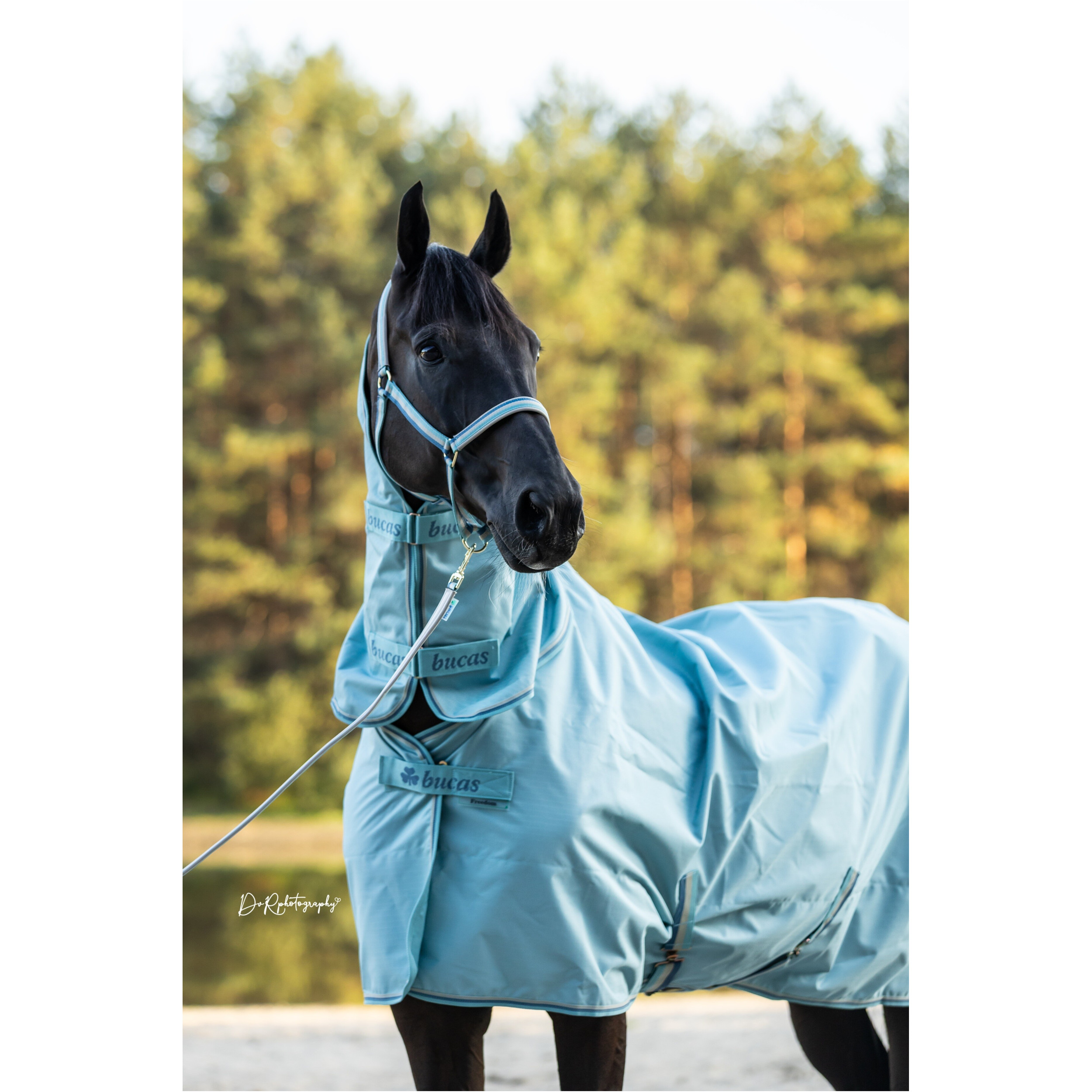 Führstrick DUBLIN türkis 200cm