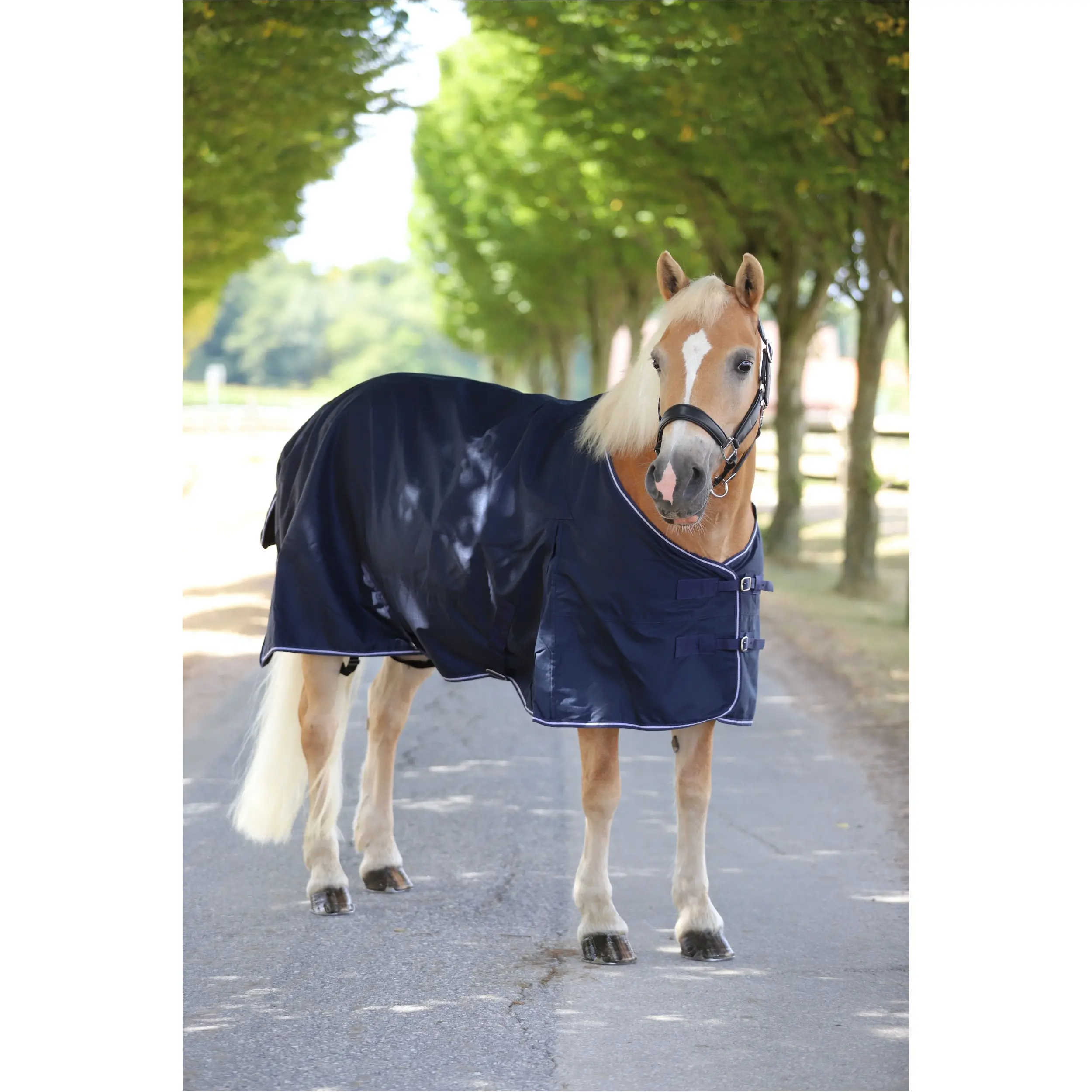 Regendecke 600D COMFORT marine Regendecke 600D COMFORT marine