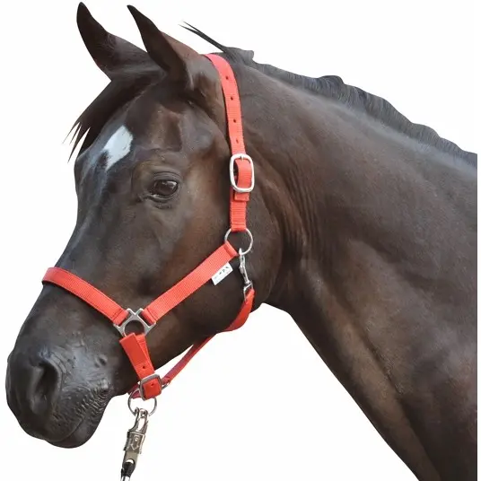 Halfter unterlegt STARS lila Halfter unterlegt STARS lila