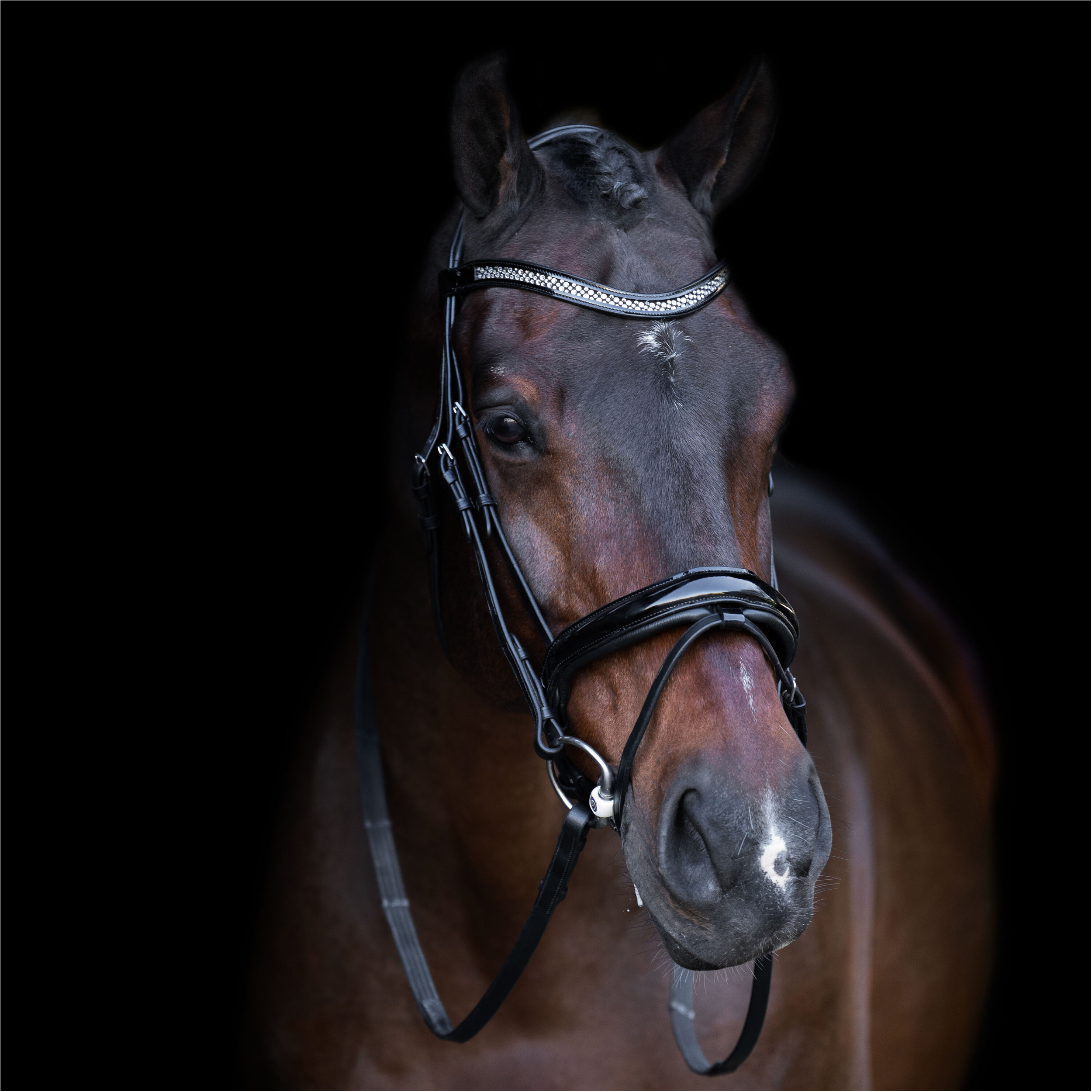 Trensenzaum mit englischem Nasenriemen IRH schwarz-crystal 