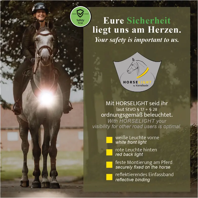 Vorderzeug mit weißer Frontleuchte HORSELIGHT schwarz/grau