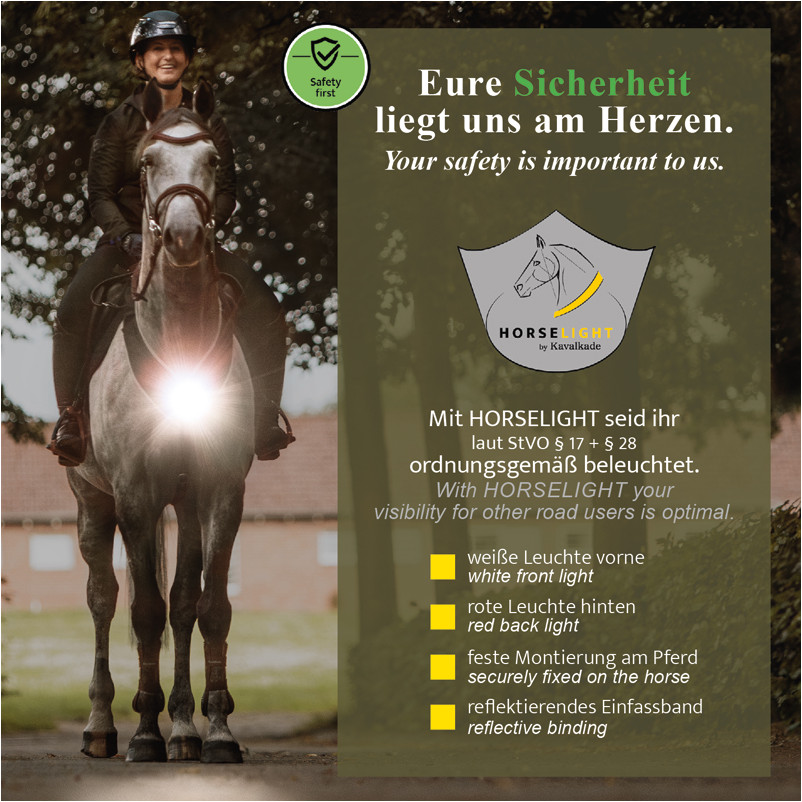 Vorderzeug mit weißer Frontleuchte HORSELIGHT schwarz/grau