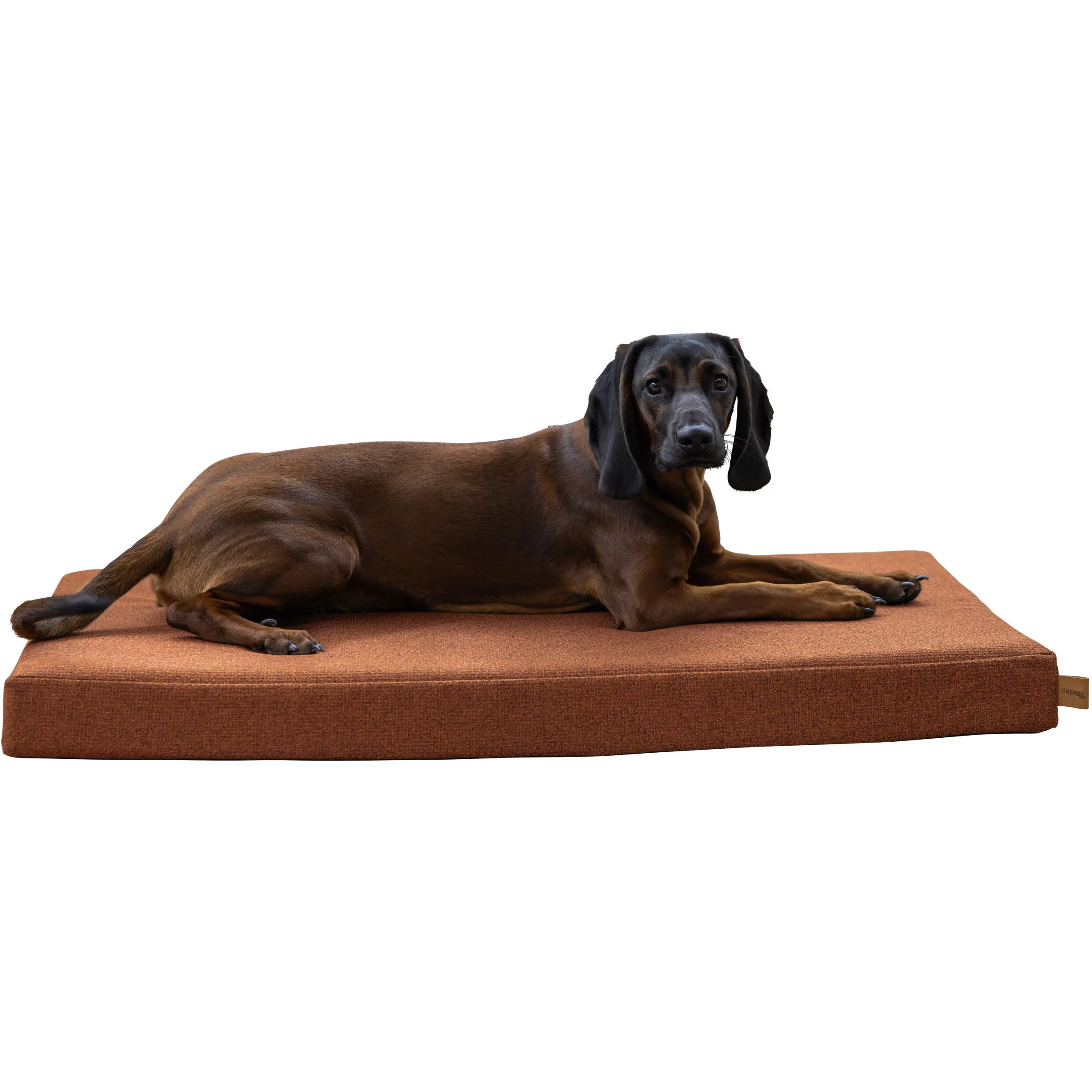 Matratze OLIVER mit Memory Foam rost