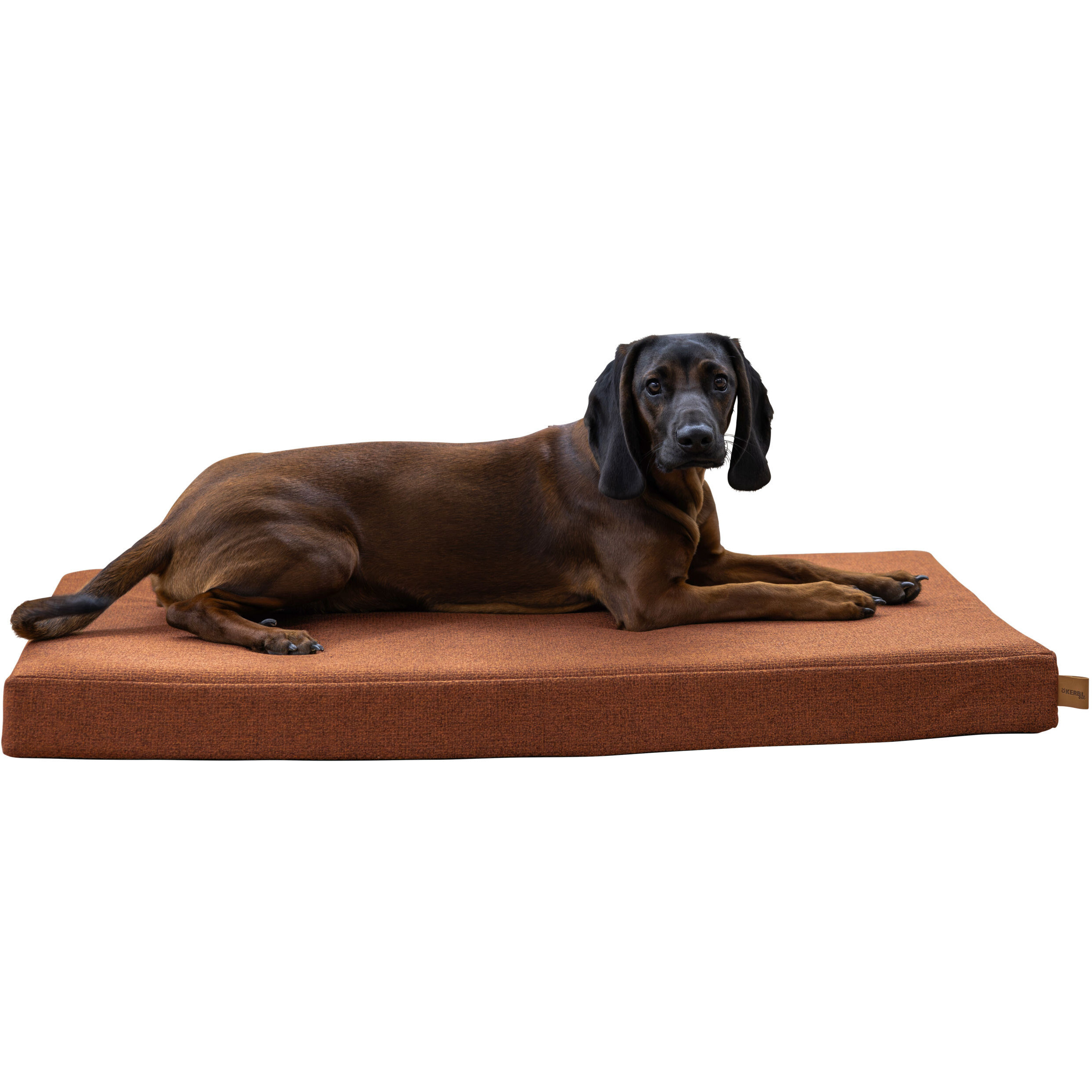 Matratze OLIVER mit Memory Foam rost Matratze OLIVER mit Memory Foam rost
