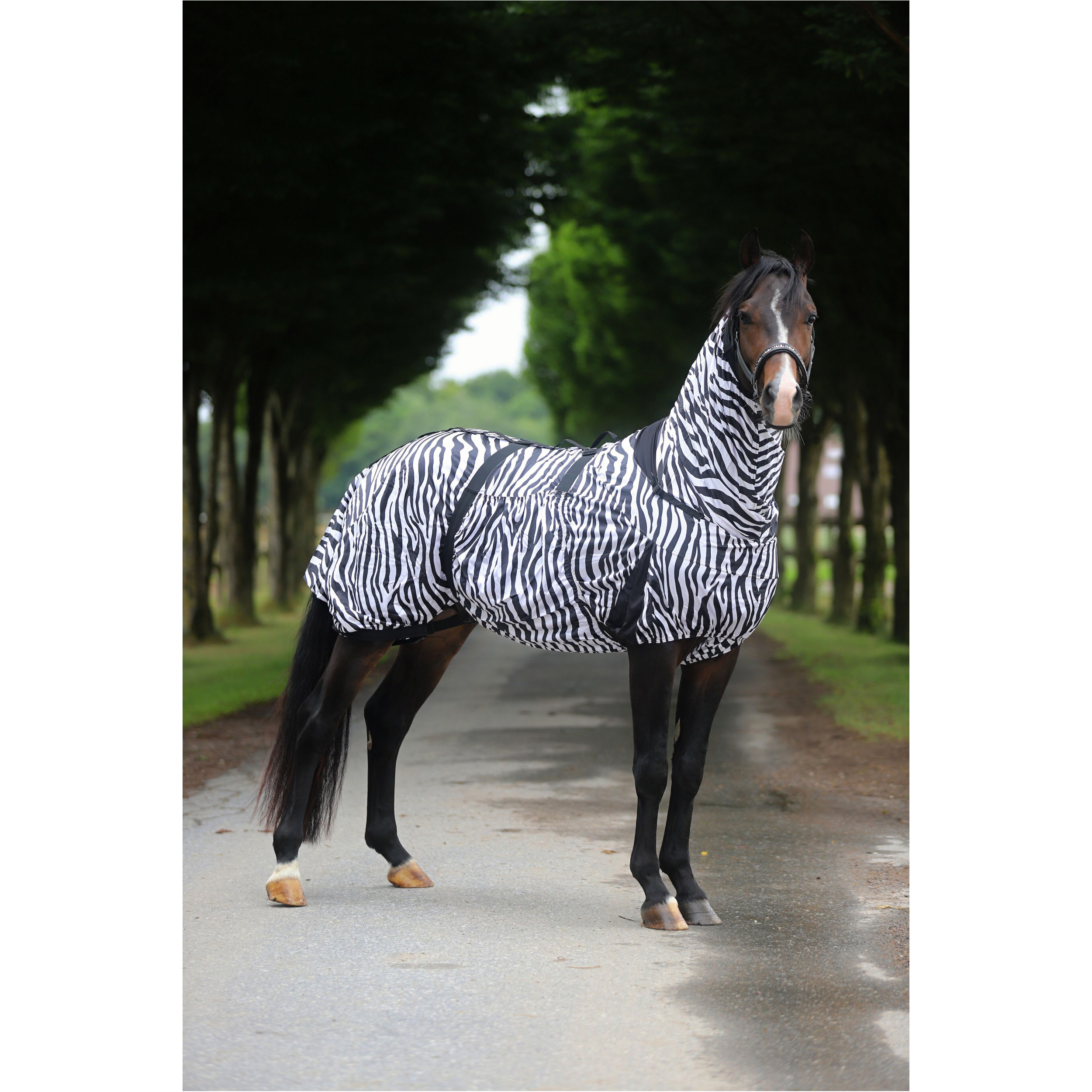 Ekzemerdecke ZEBRA schwarz/weiß