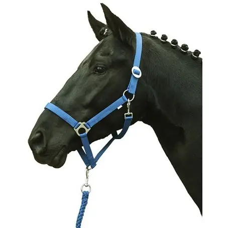 Halfter STARS ECONOMY SOFTICE kornblau Halfter STARS ECONOMY SOFTICE kornblau