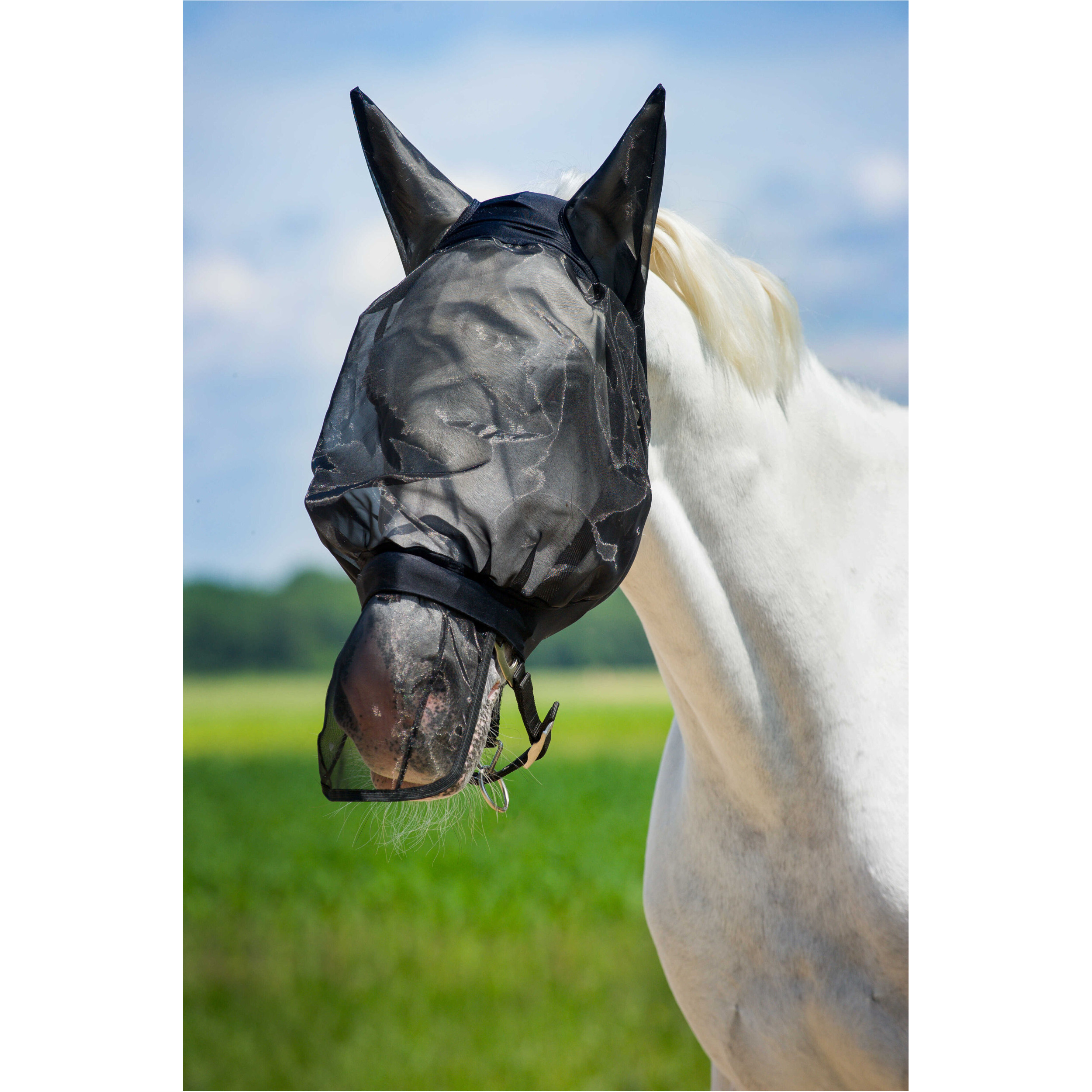 Anti-Fliegen-Nasenschutz schwarz