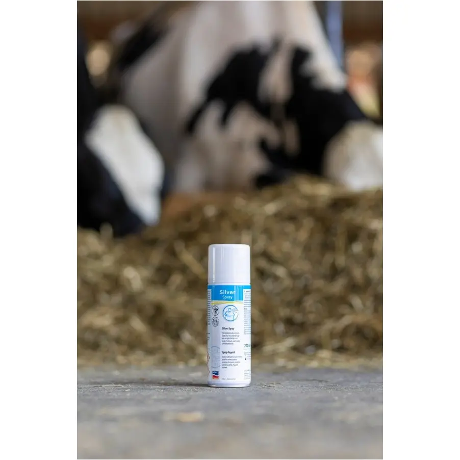 Silberspray