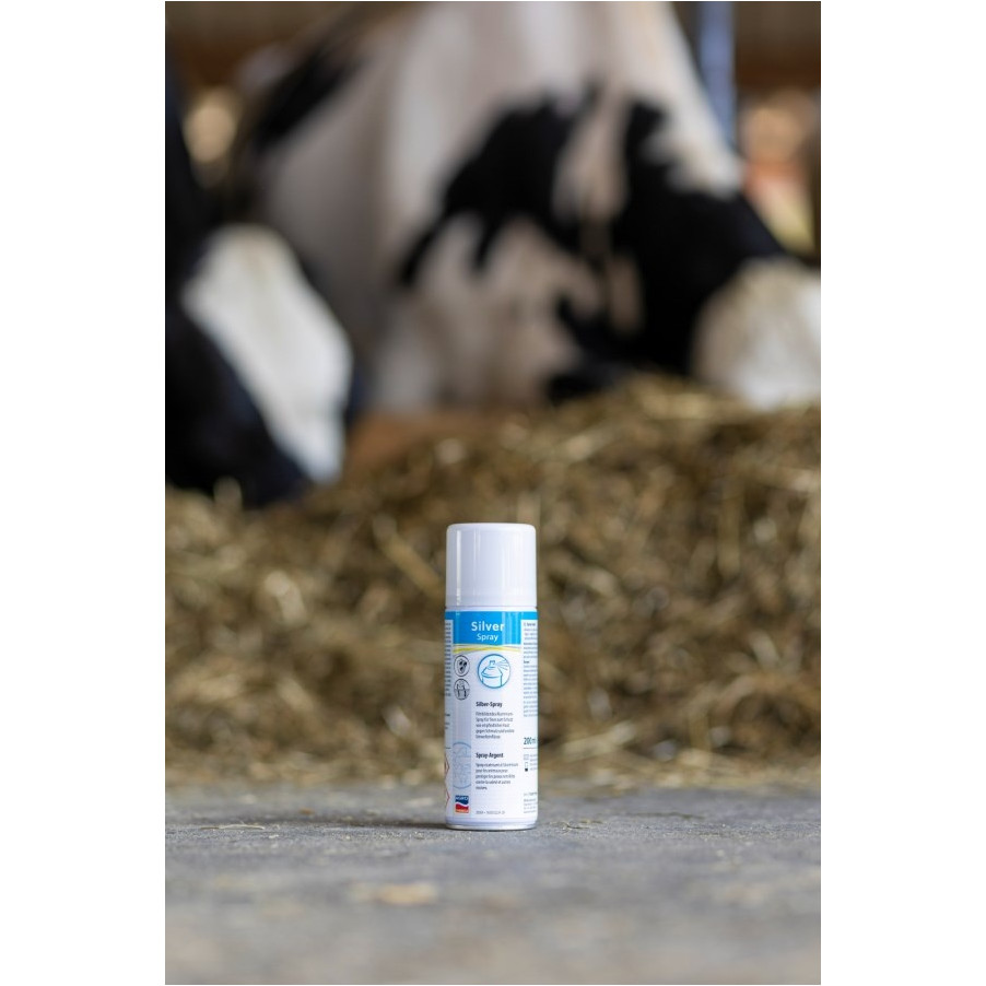 Silberspray