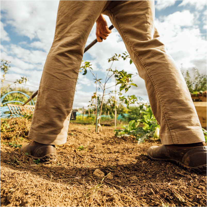 Herren Schuhe MUCKSTER II LOW grün