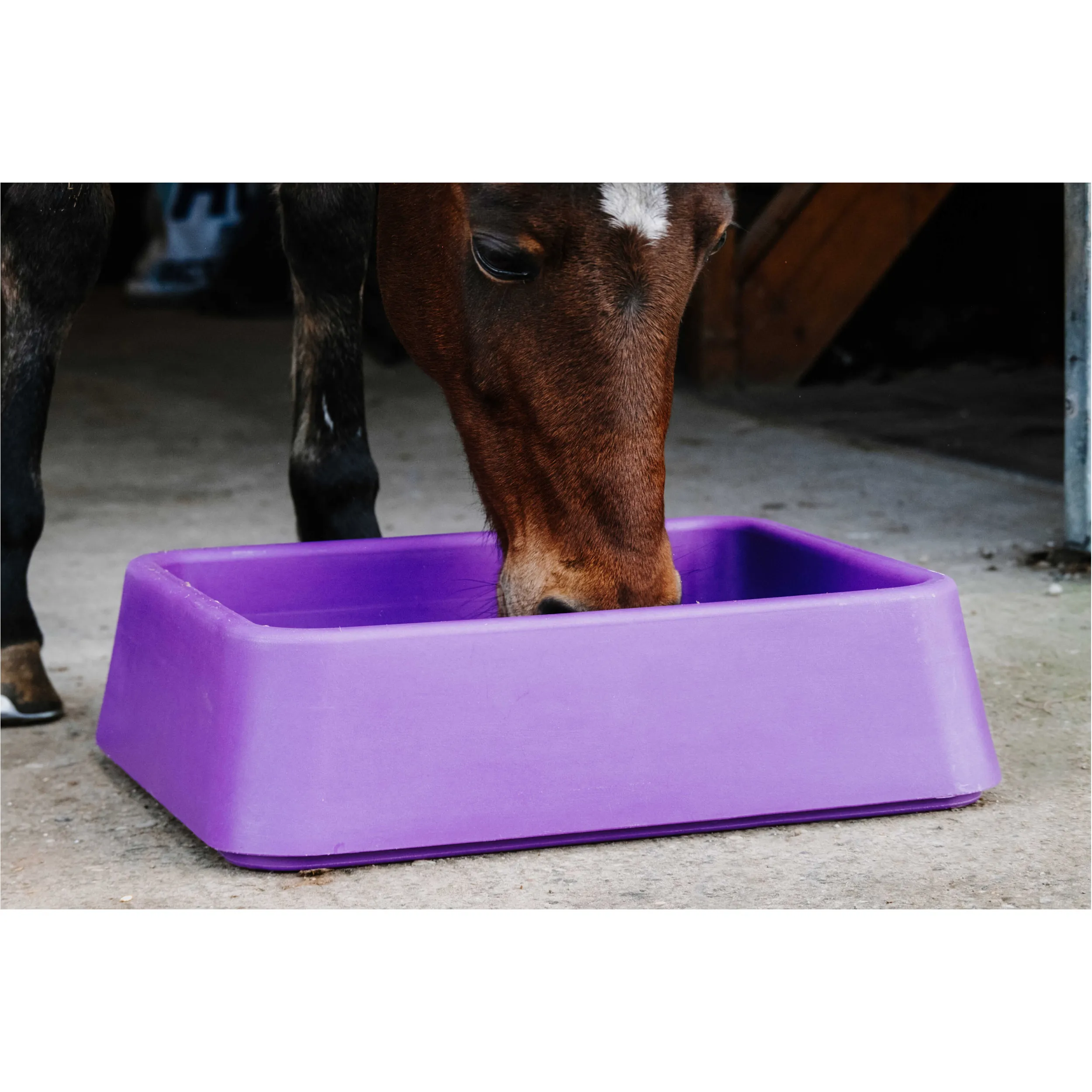 Anti-Schling-Futtertrog violett