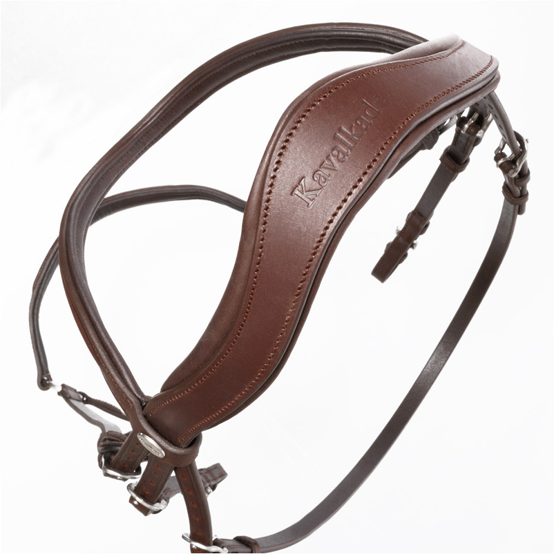 Trensenzaum hannoveranisch EVERANA Leder geölt braun