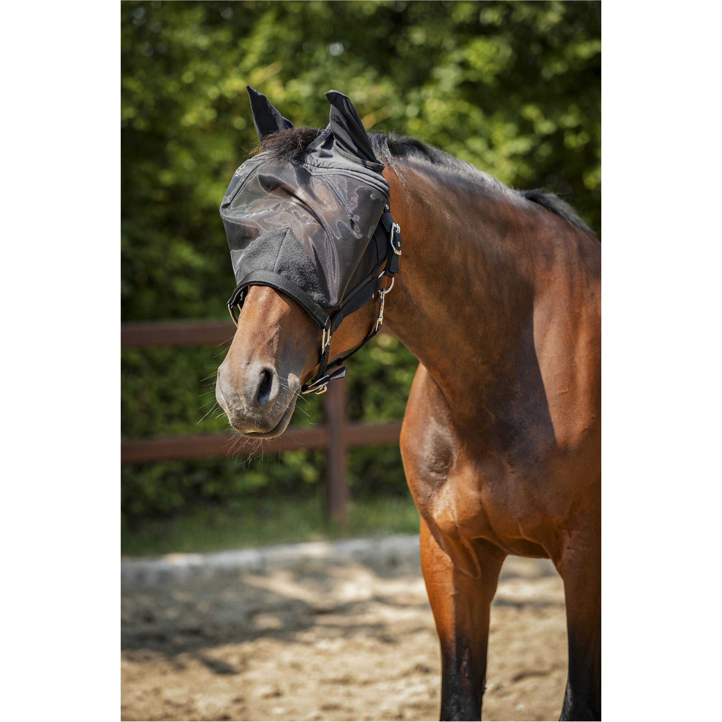 Halfter mit Fliegenmaske schwarz