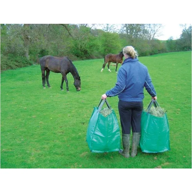 Tragetasche GoBag grün