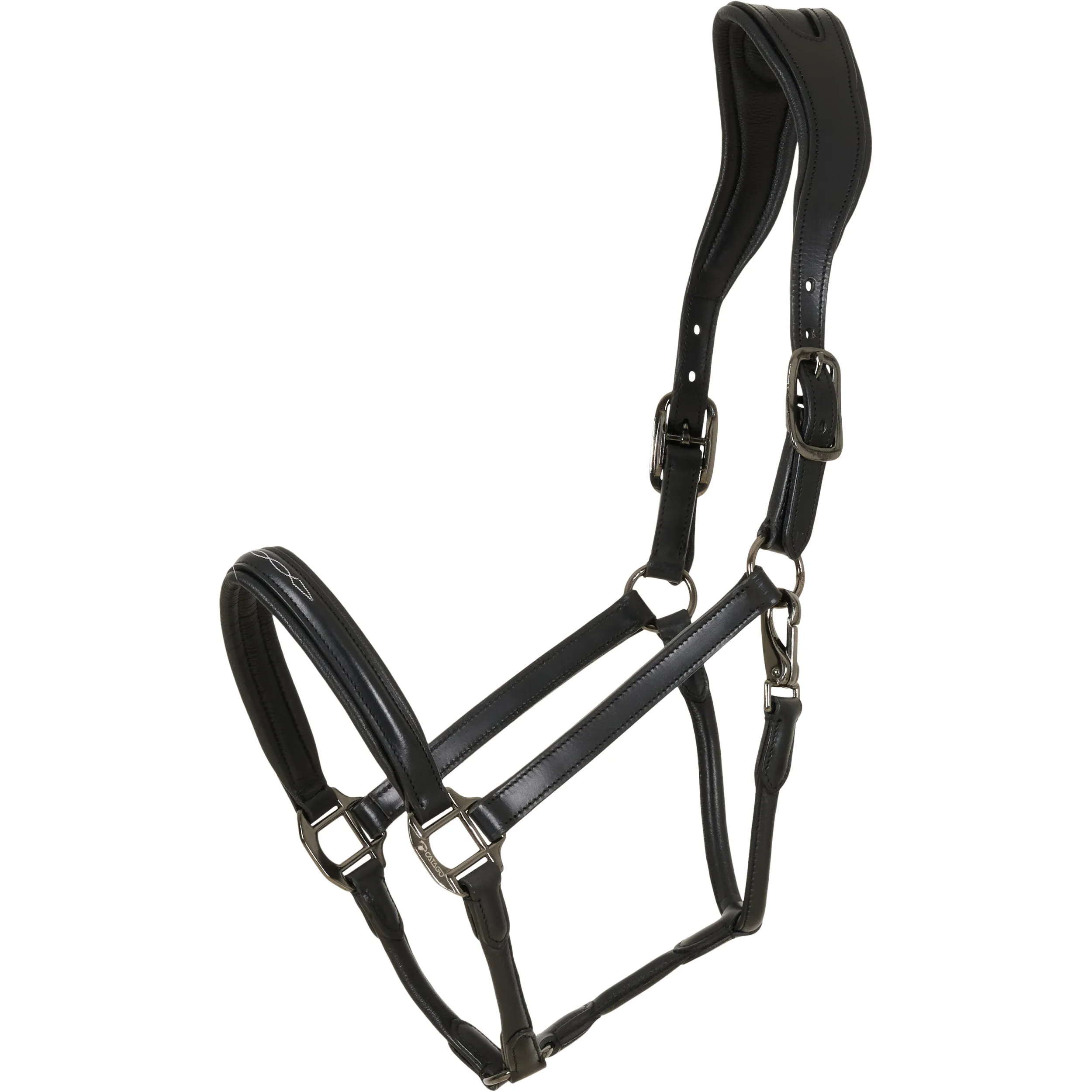 Lederhalfter NOVI 25.2 schwarz