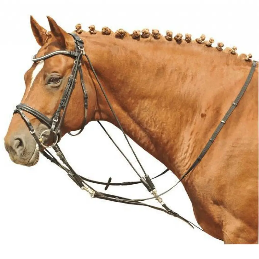 Gogue schwarz Vollblut/Warmblut