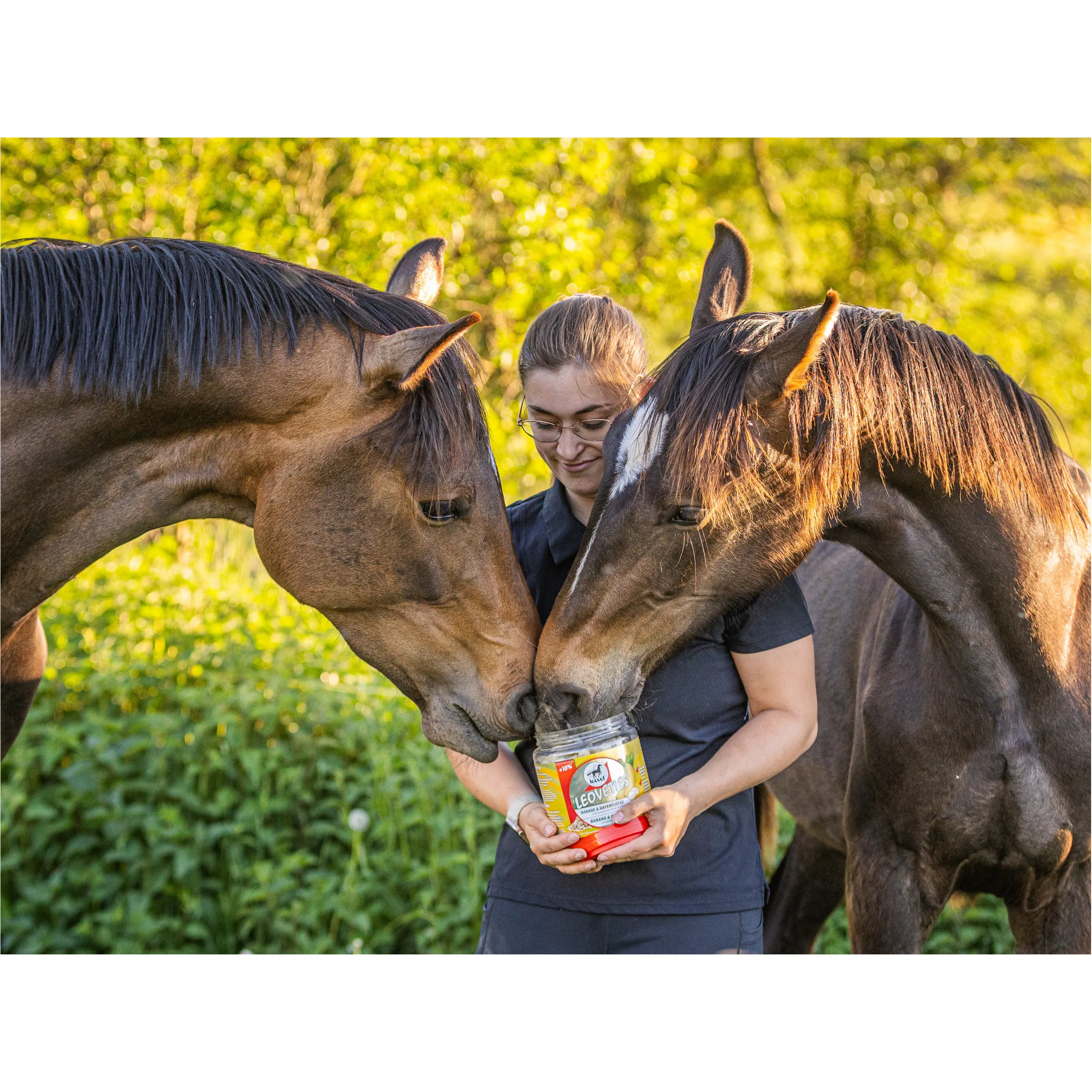 LEOVETIES Banane Haferflocke1100g