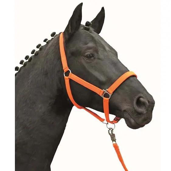 Halfter unterlegt STARS SOFTICE neon orange Halfter unterlegt STARS SOFTICE neon orange