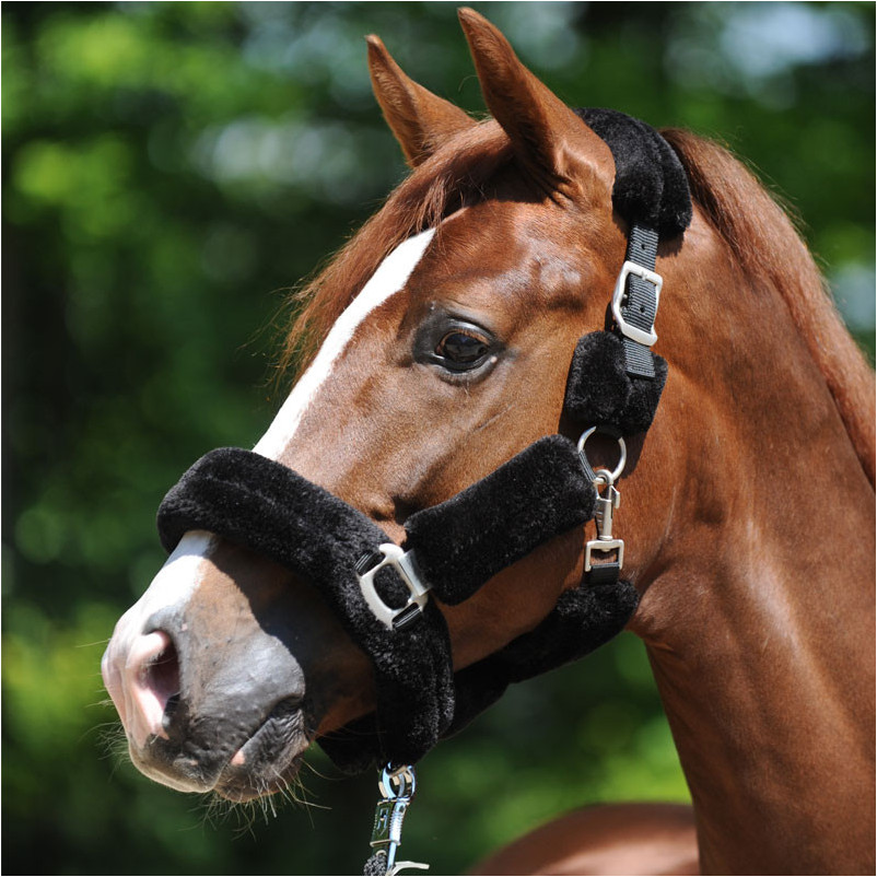 Transporthalfter mit Kunstfell Vegan schwarz