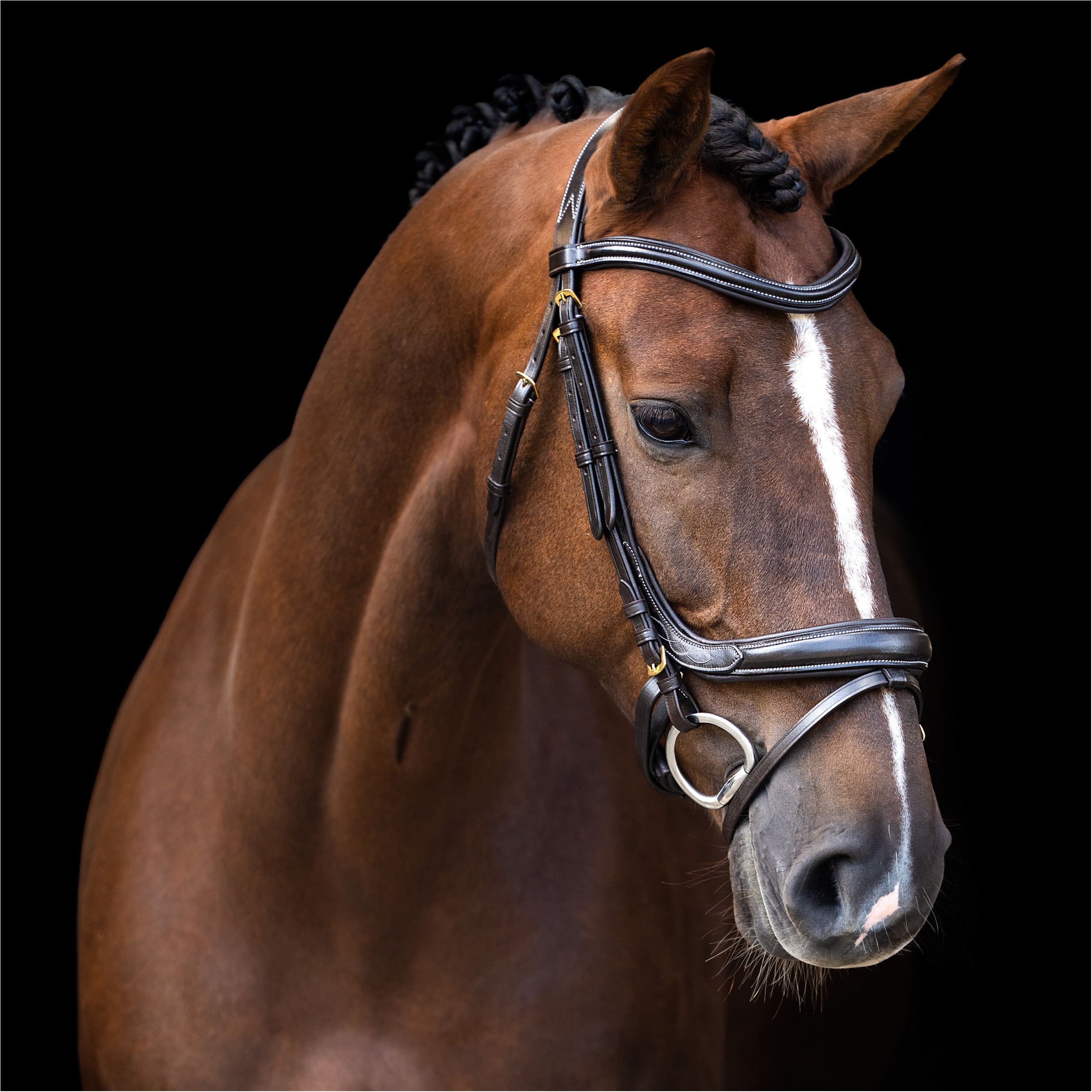 Trensenzaum IRH mit gebogenem englischen Nasenriemen braun