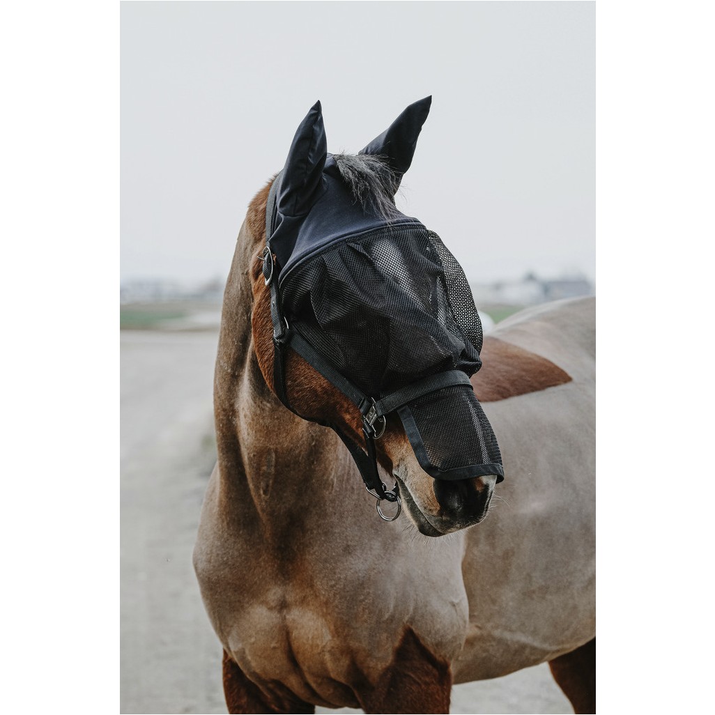 Halfter + Antifliegenmaske schwarz