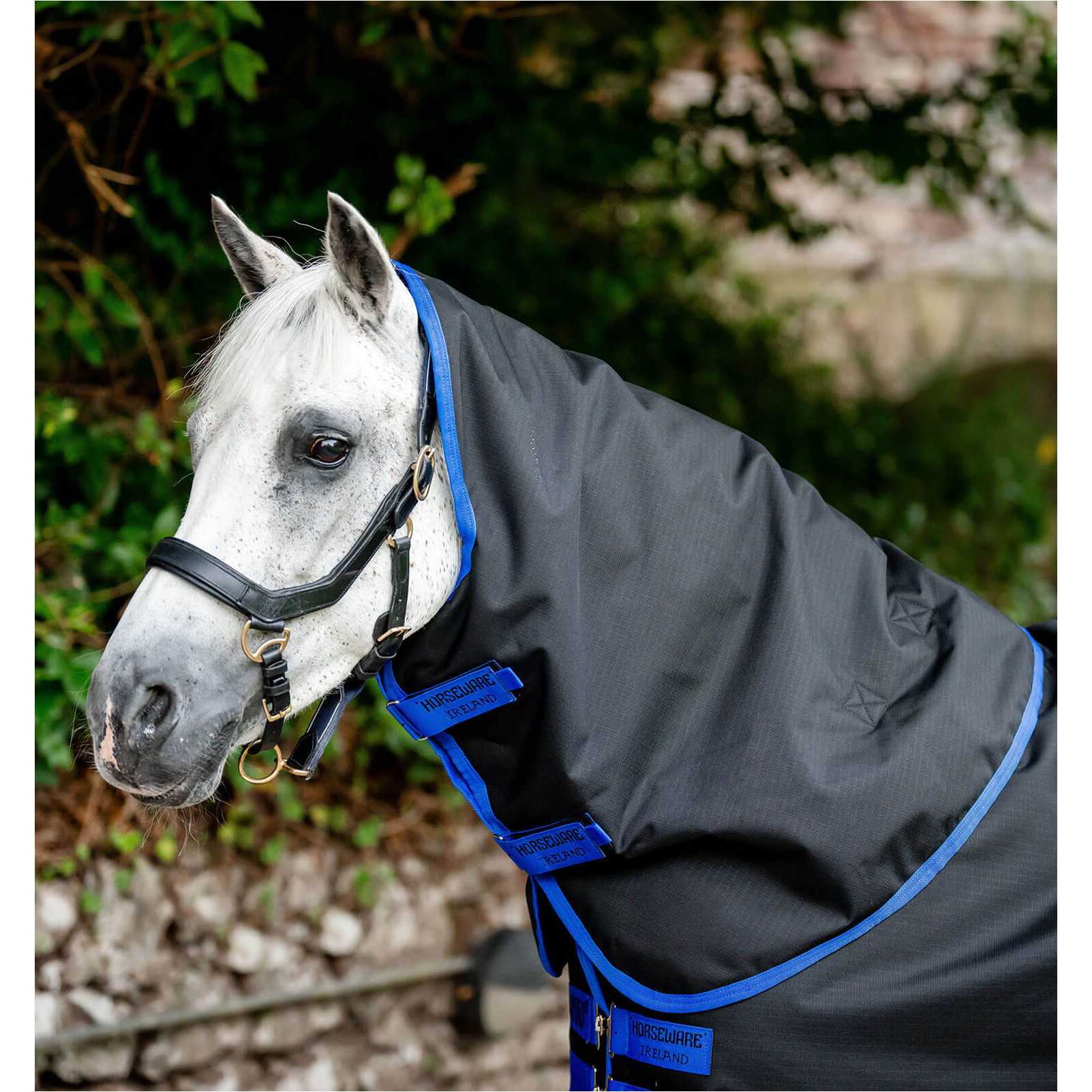 Halsteil 900D AMIGO Ripstop Turnout Hood black/classic blue