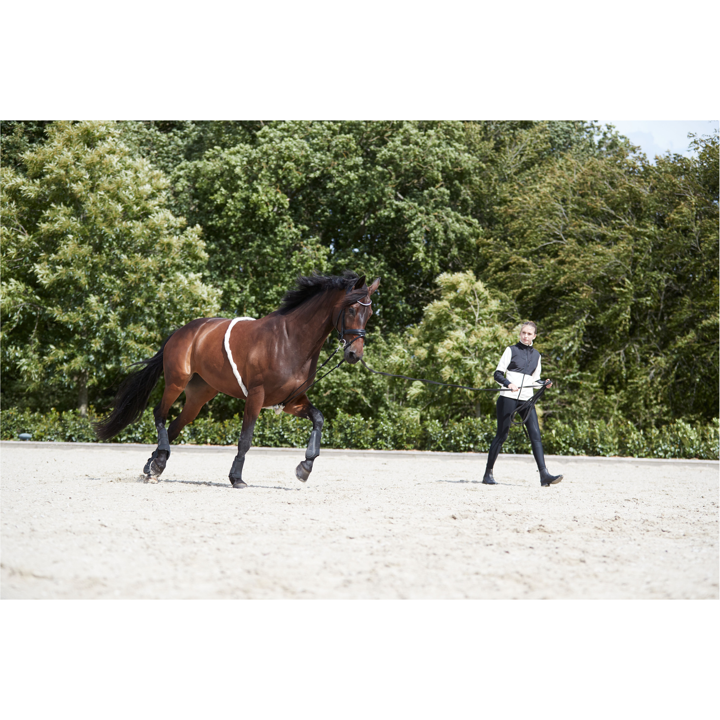 Longierhilfe SOFT beige Longierhilfe SOFT beige