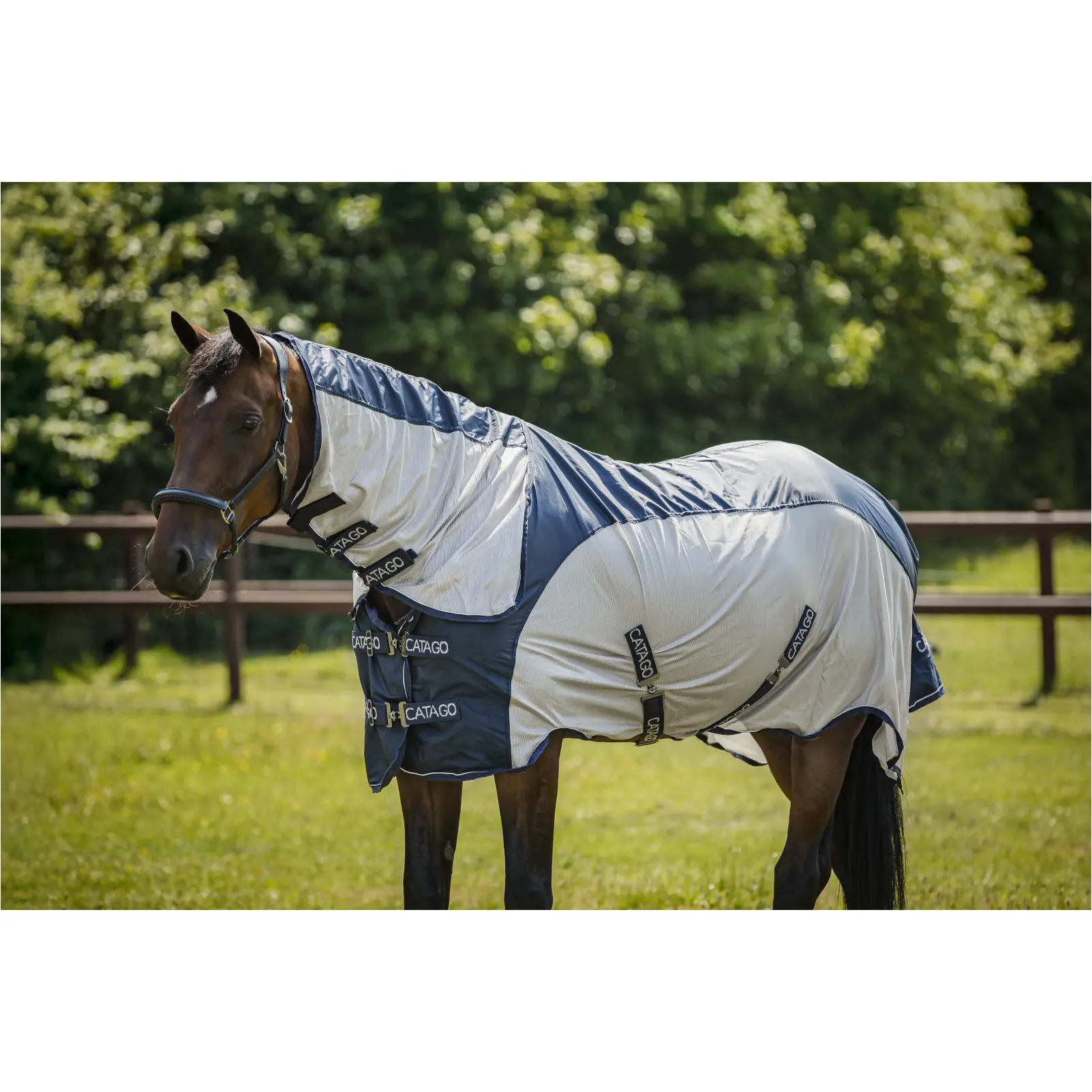Regen- und Fliegendecke TAYLIN navy