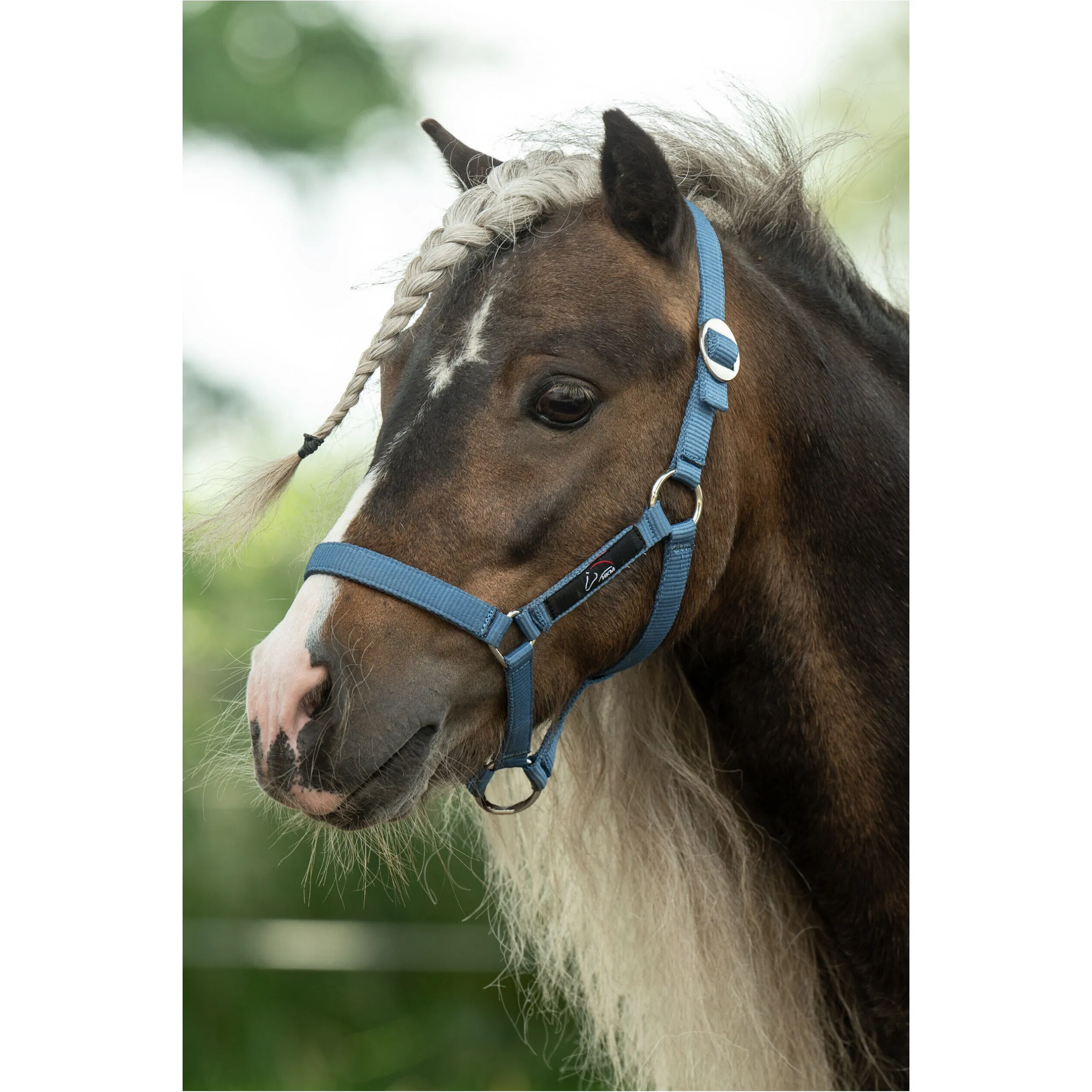 Halfter MINISHETTY rauchblau