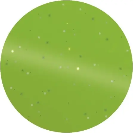 Federstriegel 4-fach wendbar mit Glittergriff grün Federstriegel 4-fach wendbar mit Glittergriff grün