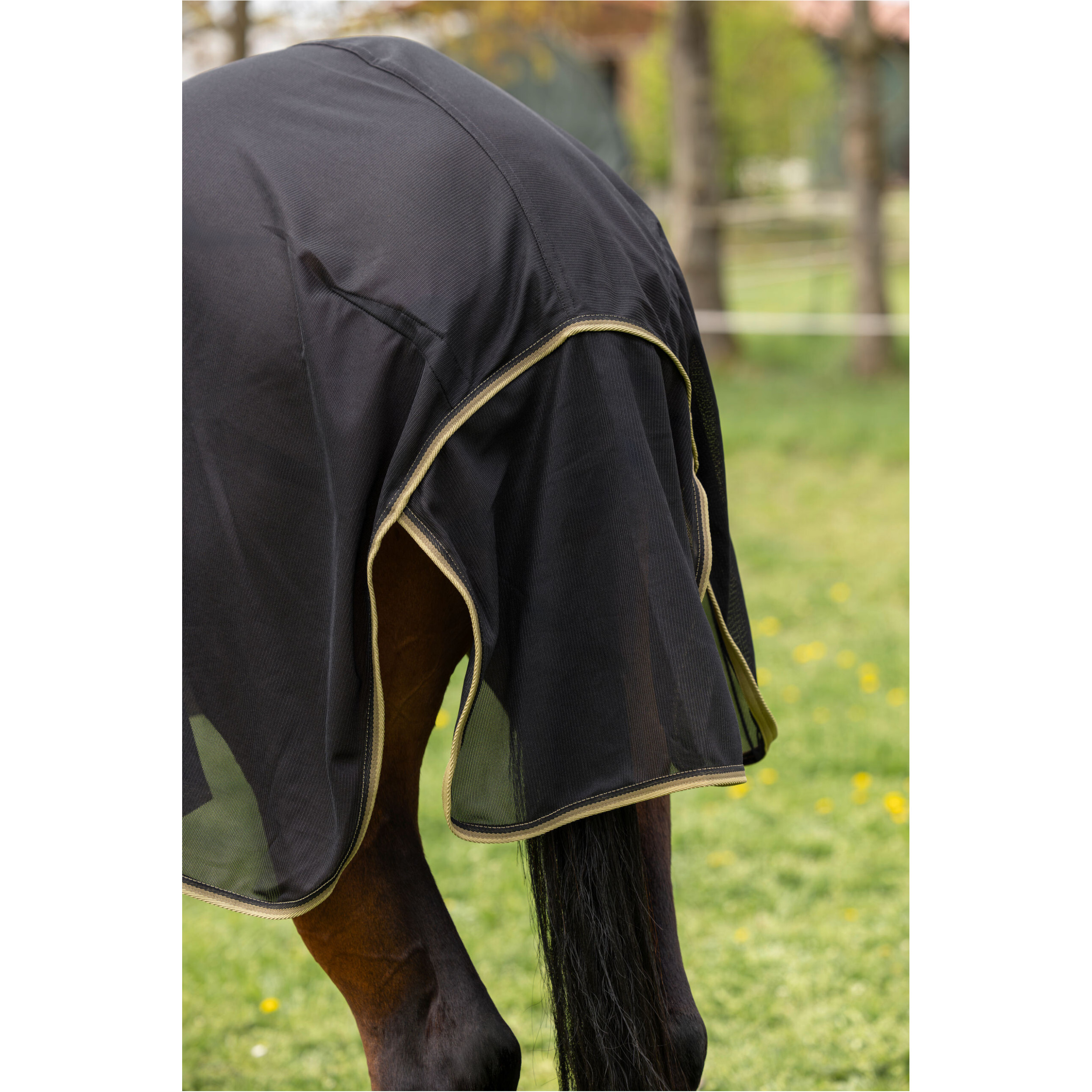 Fliegendecke mit Halsteil (abnehmbar) F/S 2026 black