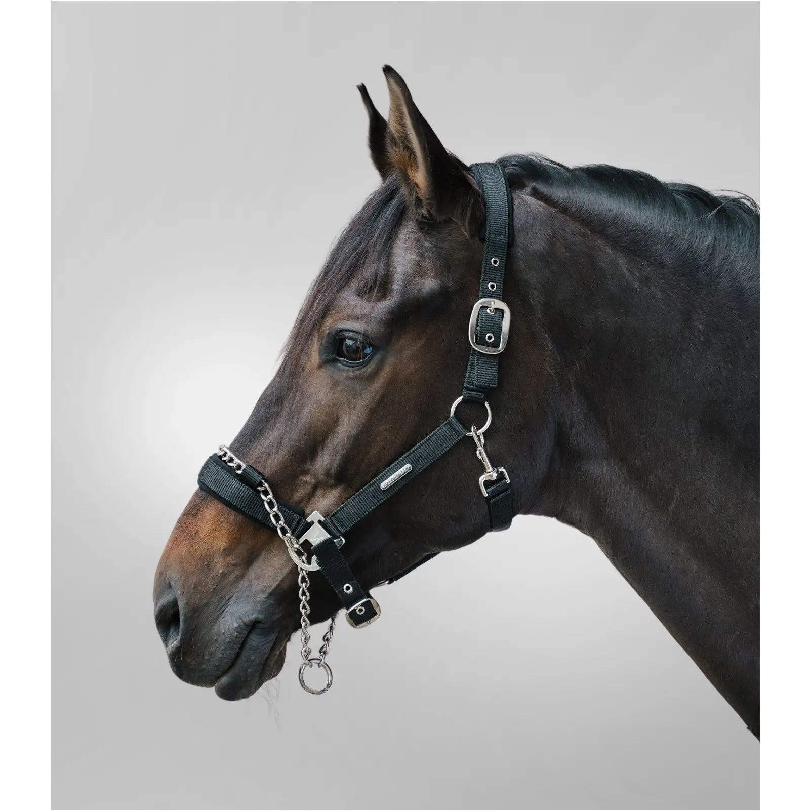 Halfter PRO SAFETY schwarz