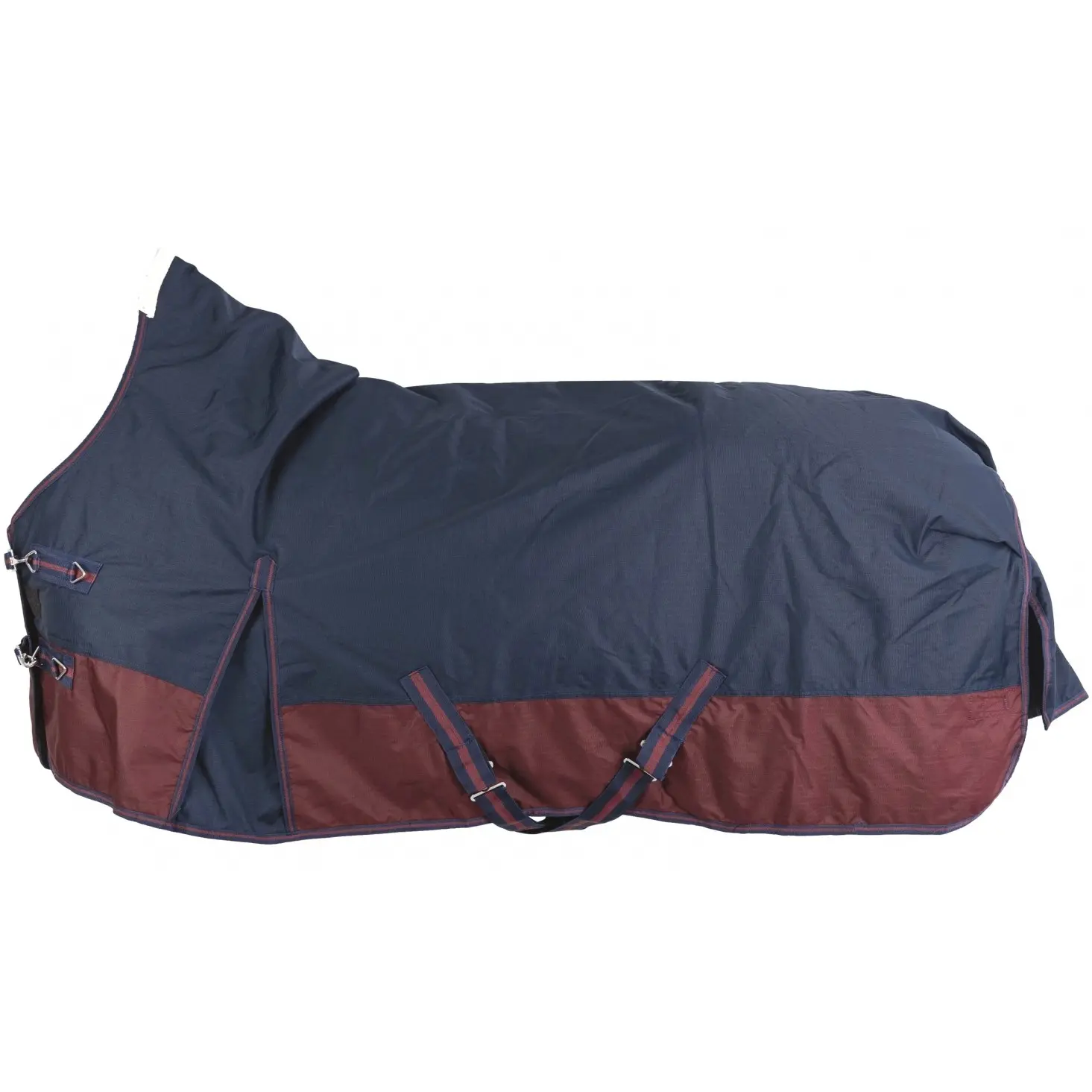 Pferdezubehör & Reitsportartikel günstig online kaufen | RL24