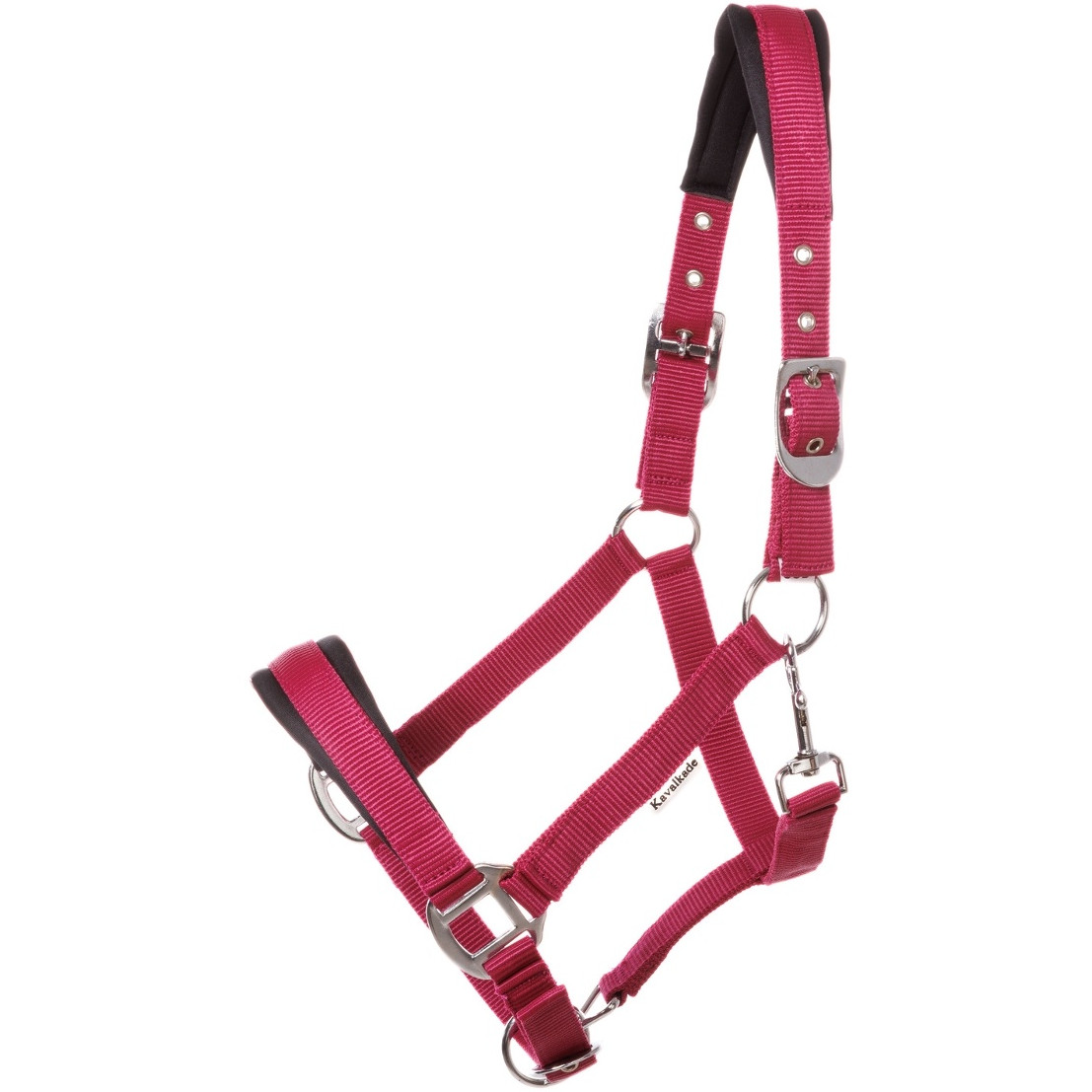 Halfter KALTBLUT CLASSIC SIMPLE beere