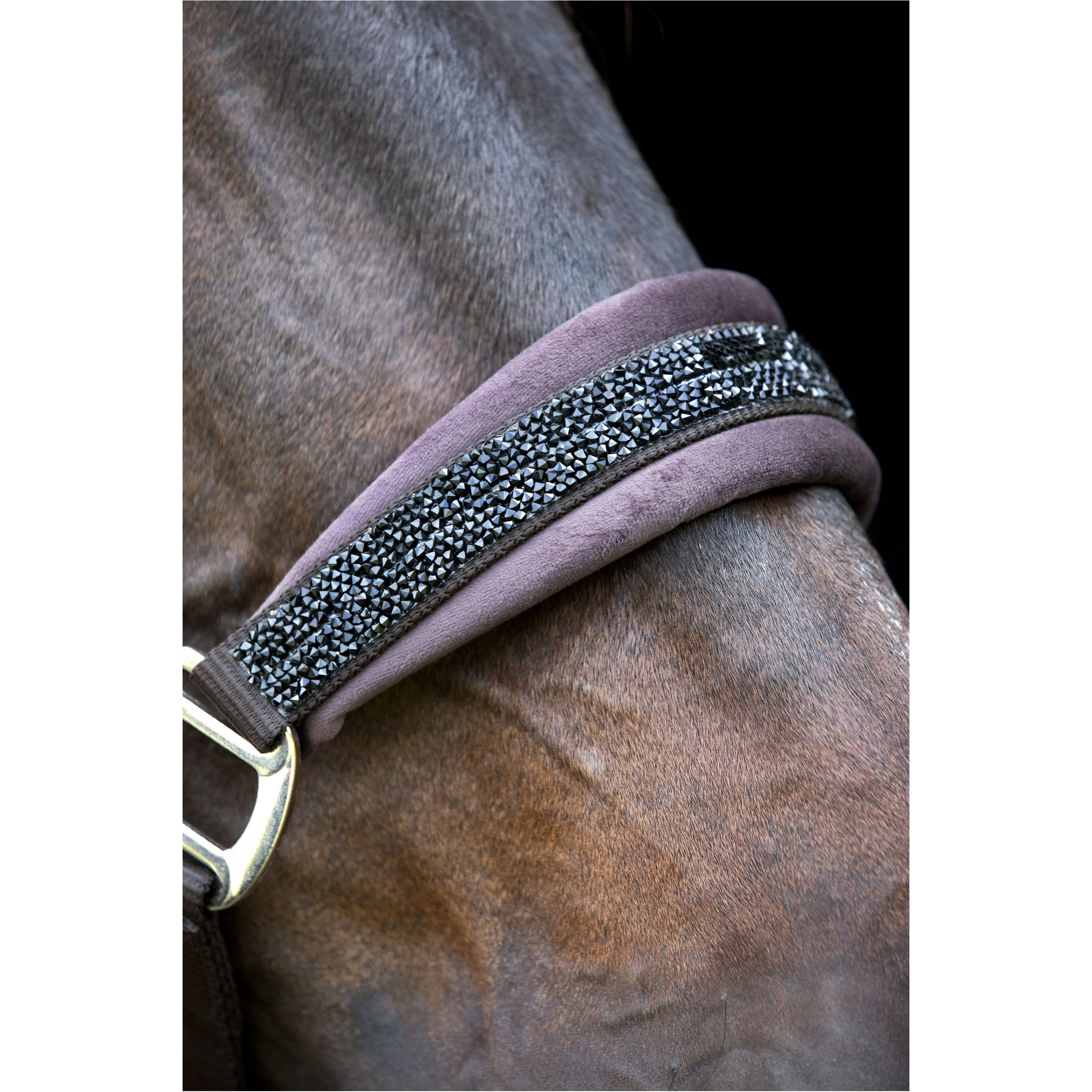 Halfter ANGEL after dark