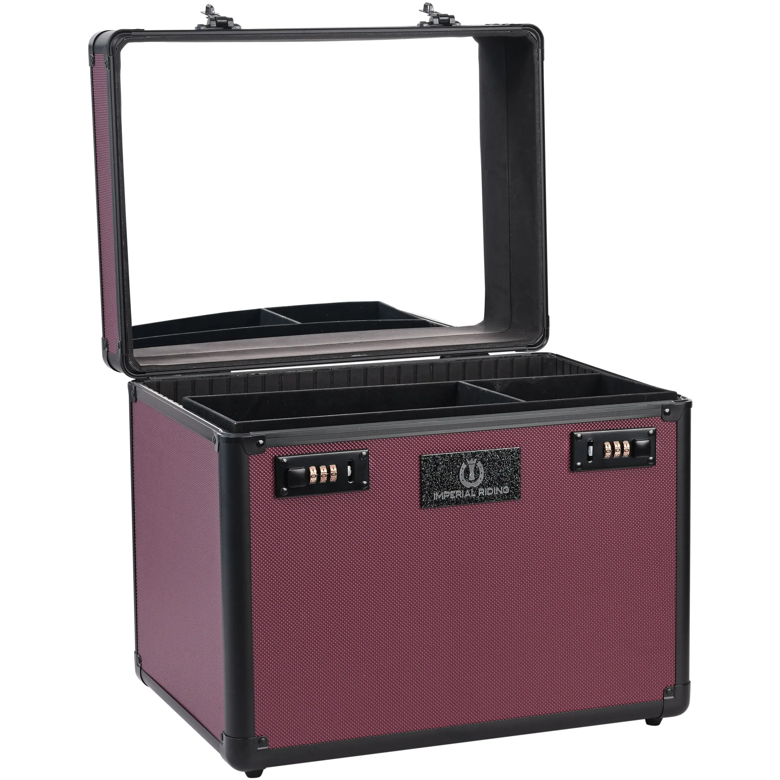 Putzbox IRHShiny fig Putzbox IRHShiny fig