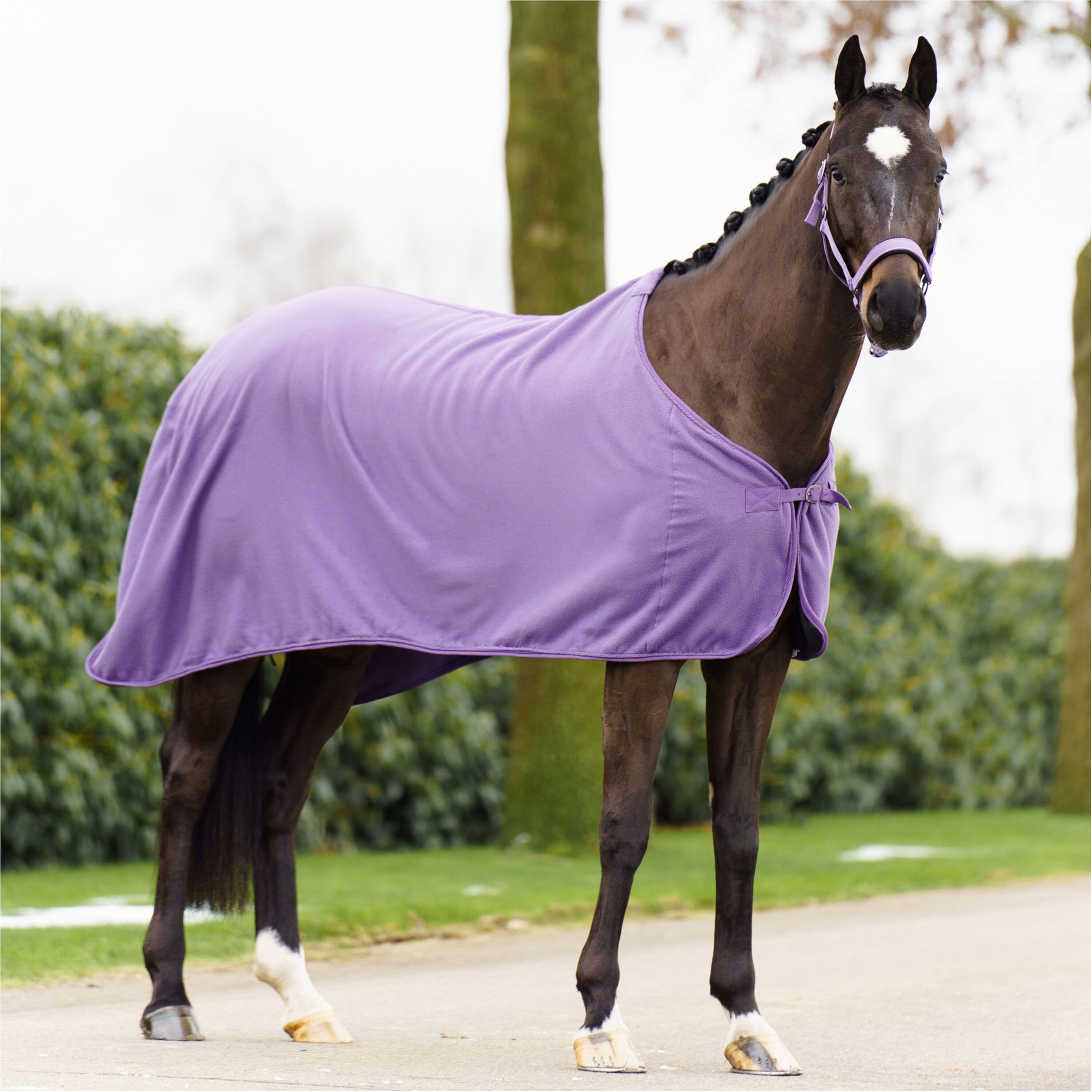 Fleecedecke IRHClassic amethist Fleecedecke IRHClassic amethist