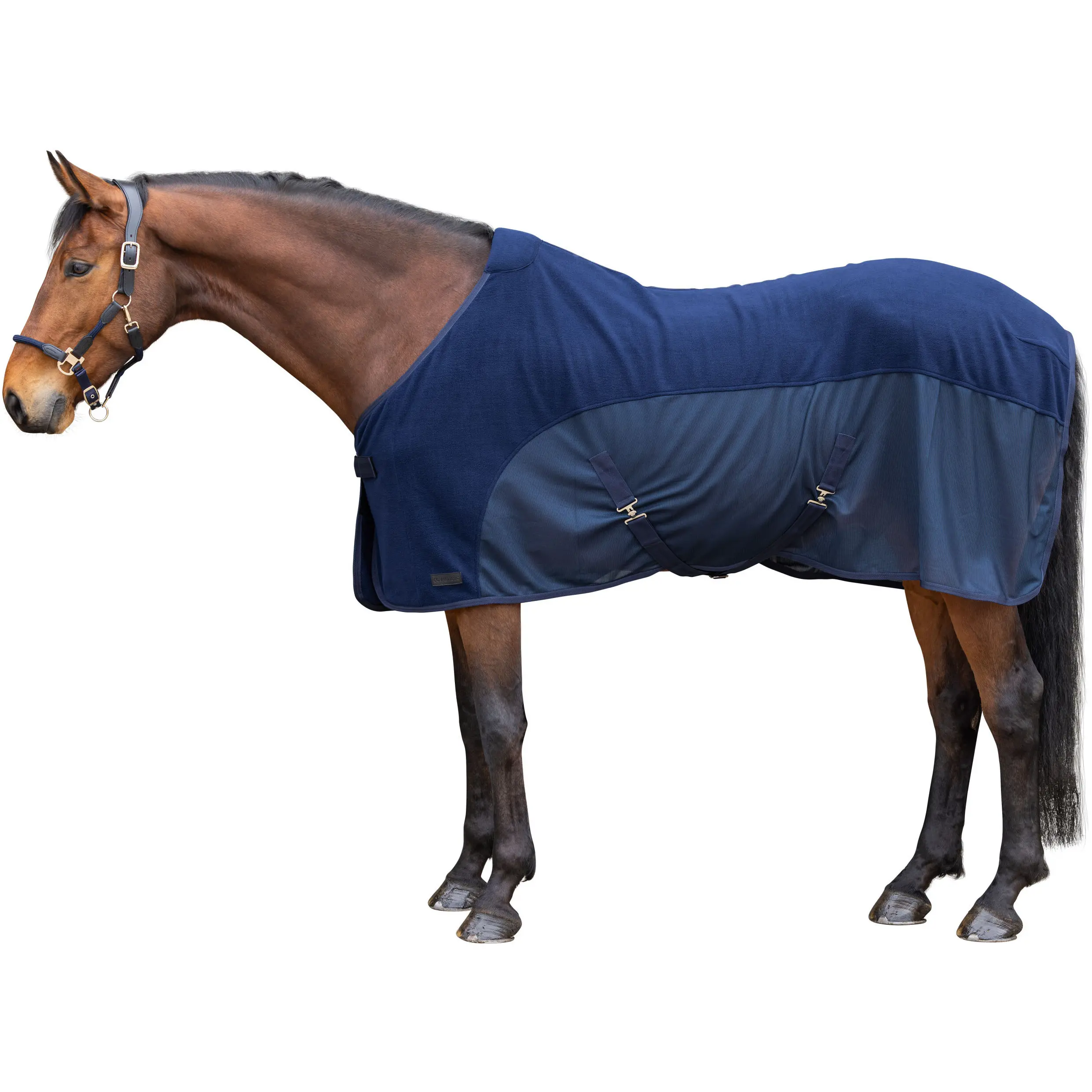 Abschwitzdecke F/S 2026 dark navy