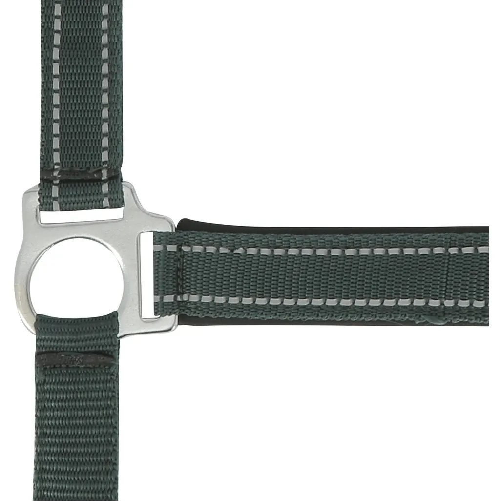 Halfter REFLECTIVE grün