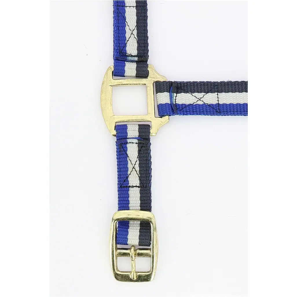 Nylonhalfter mit Büffelspaltleder unterlegt marineblau/weiß/blau Nylonhalfter mit Büffelspaltleder unterlegt marineblau/weiß/blau