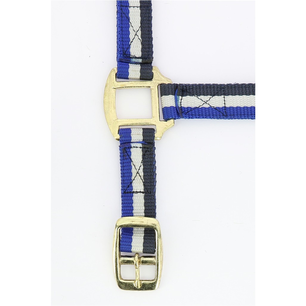 Nylonhalfter mit Büffelspaltleder unterlegt marineblau/weiß/blau