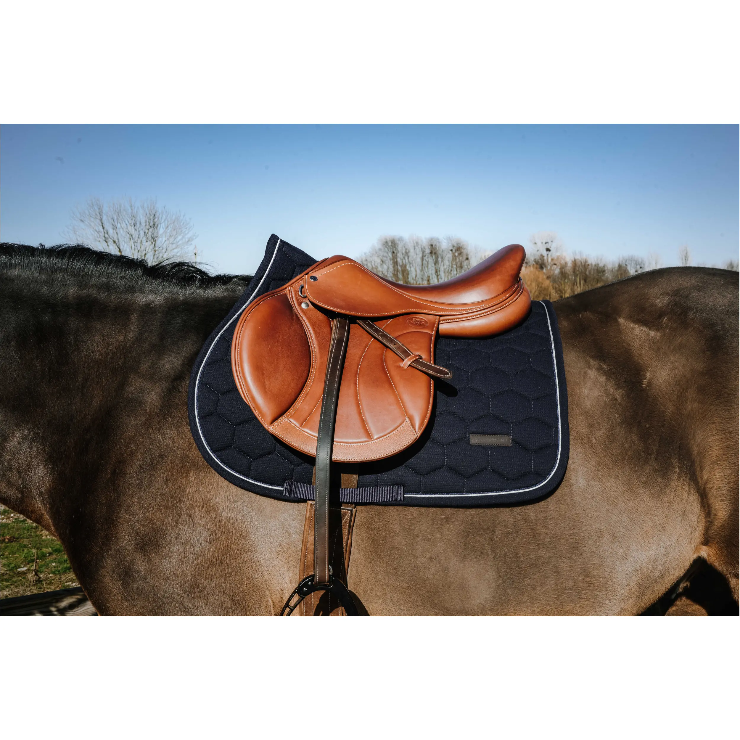 Schabracke HONEY navy Warmblut Vielseitigkeit