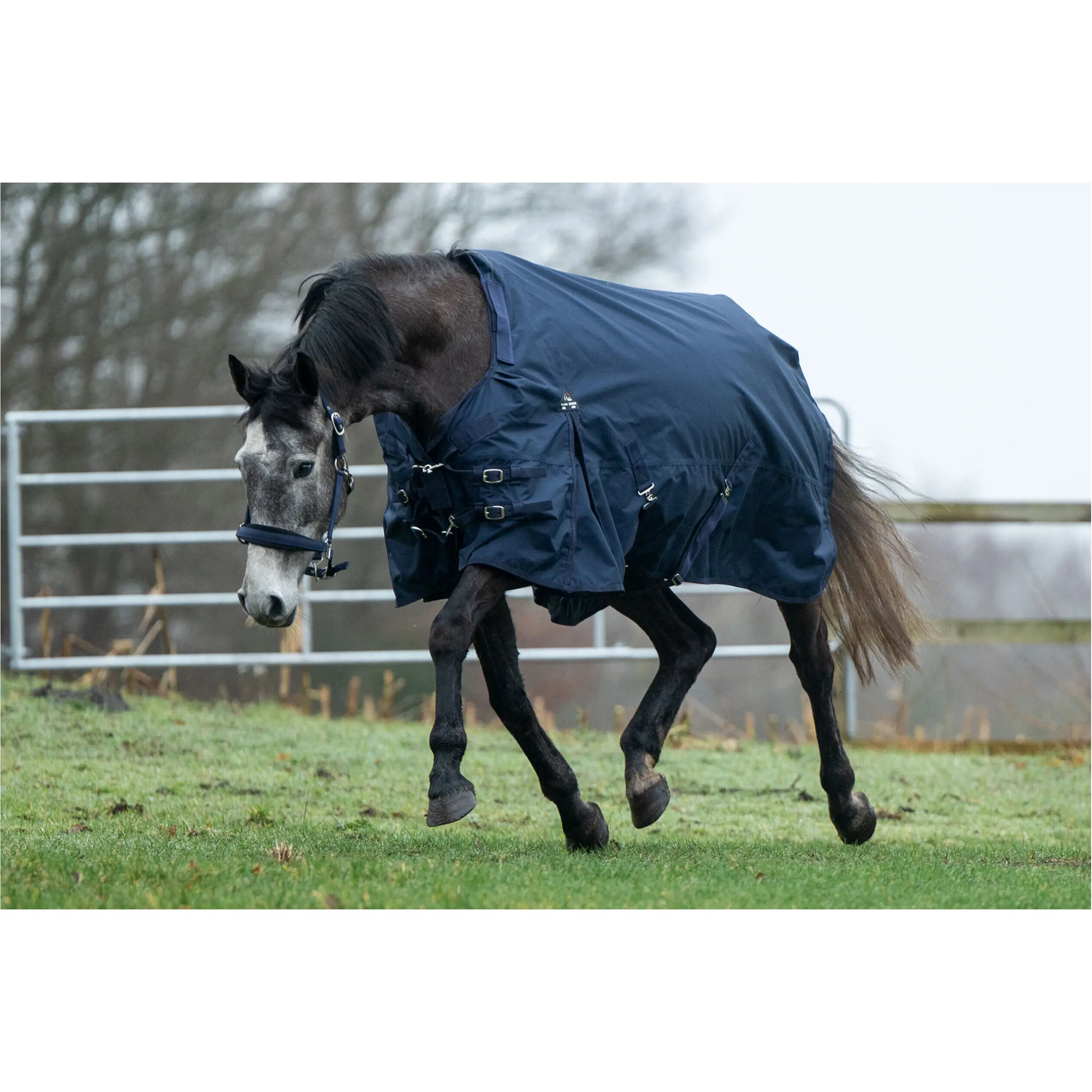 Weidedecke Halsteil (abnehmbar) 600D mit Clip in System ohne Liner KOMBI 2 dunkelblau Weidedecke Halsteil (abnehmbar) 600D mit Clip in System ohne Liner KOMBI 2 dunkelblau